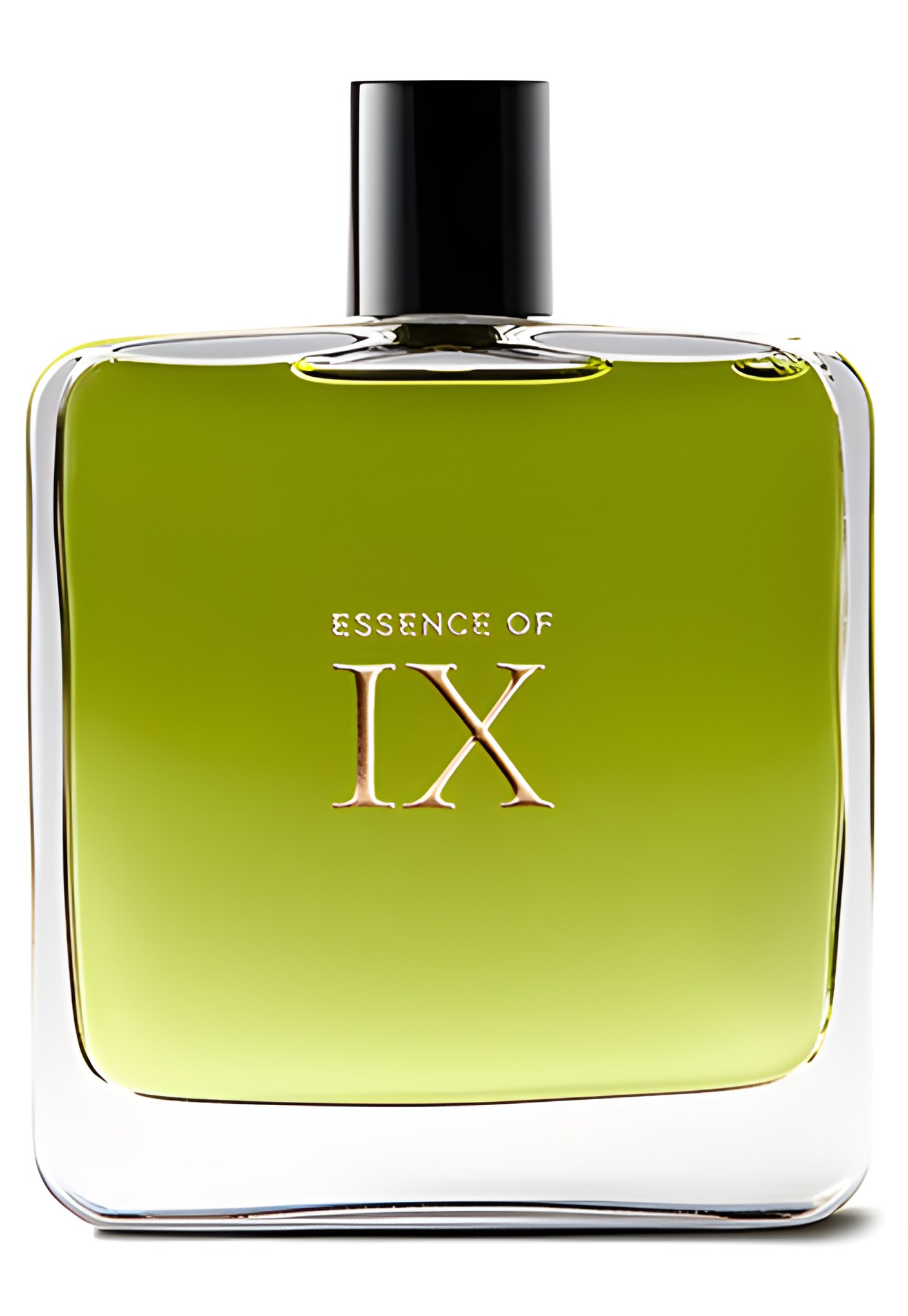 Picture of Essence of IX fragrance