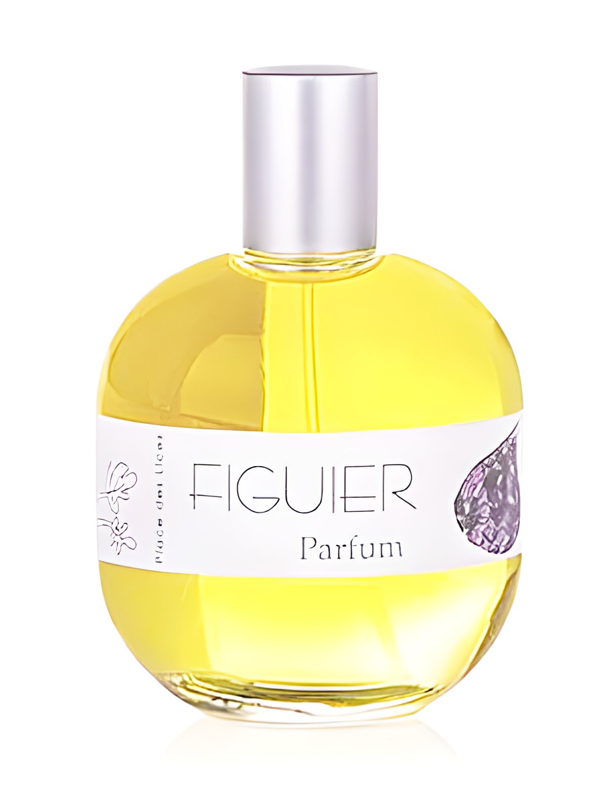 Picture of Figuier fragrance