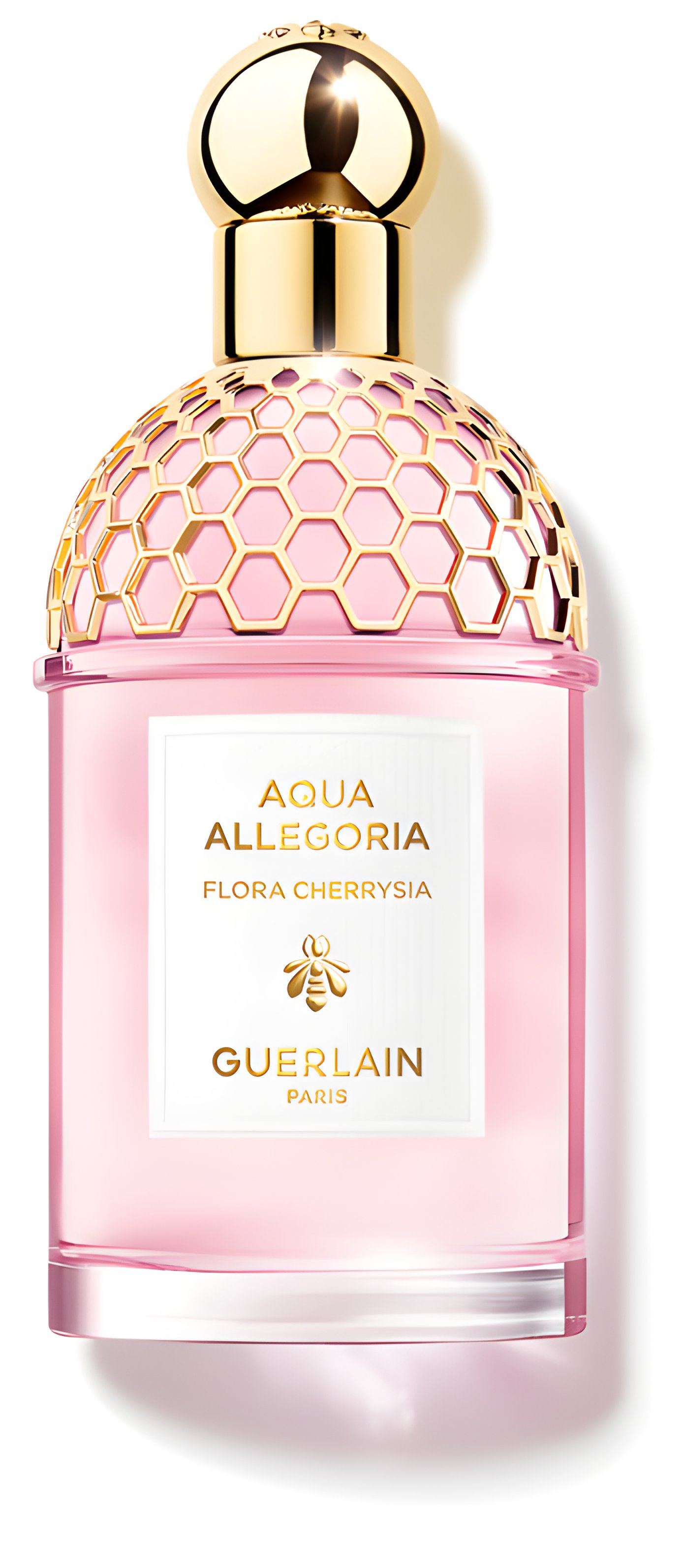 Picture of Aqua Allegoria Flora Cherrysia fragrance