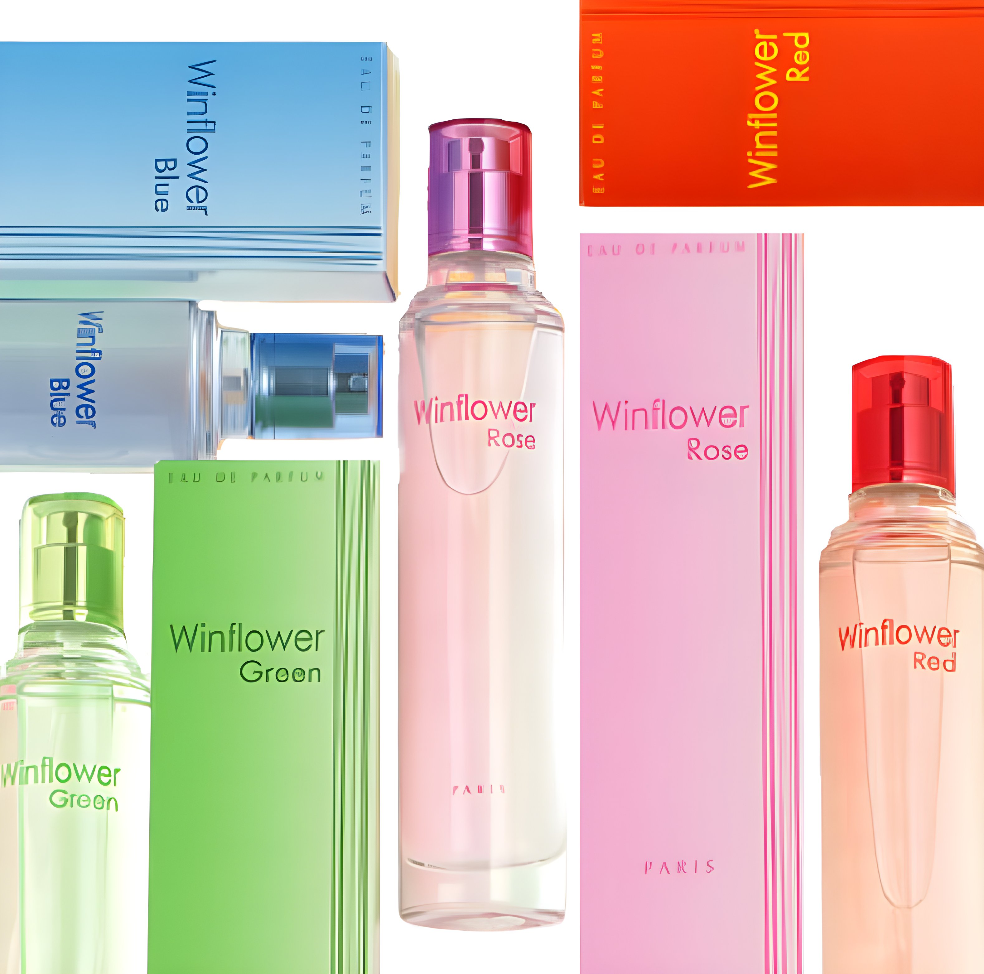 Picture of Winflower Green fragrance