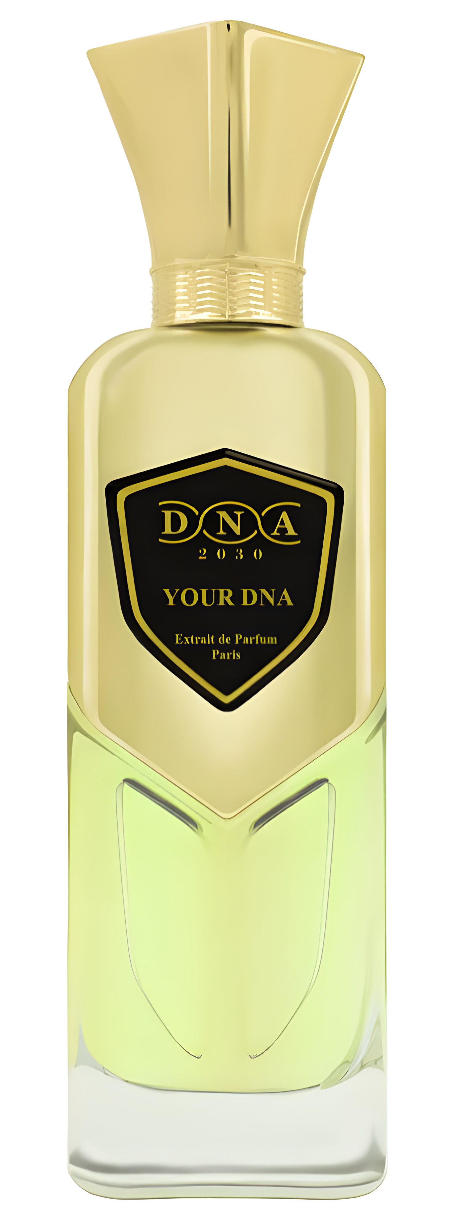 Picture of Your DNA fragrance