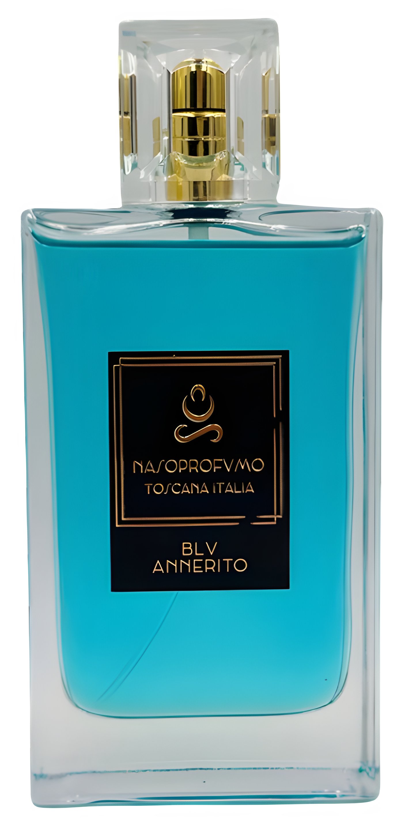 Picture of Blu Annerito fragrance