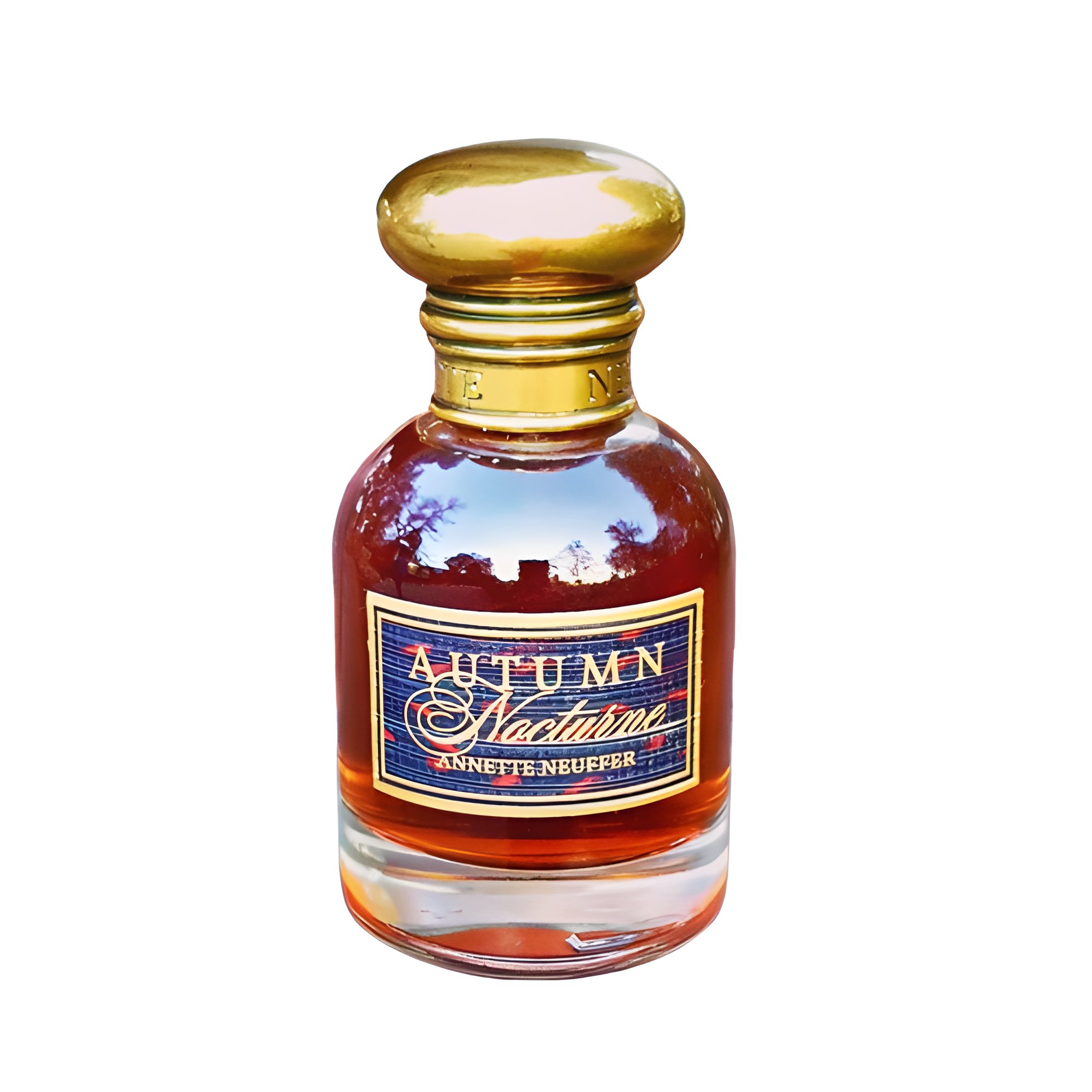 Picture of Autumn Nocturne fragrance