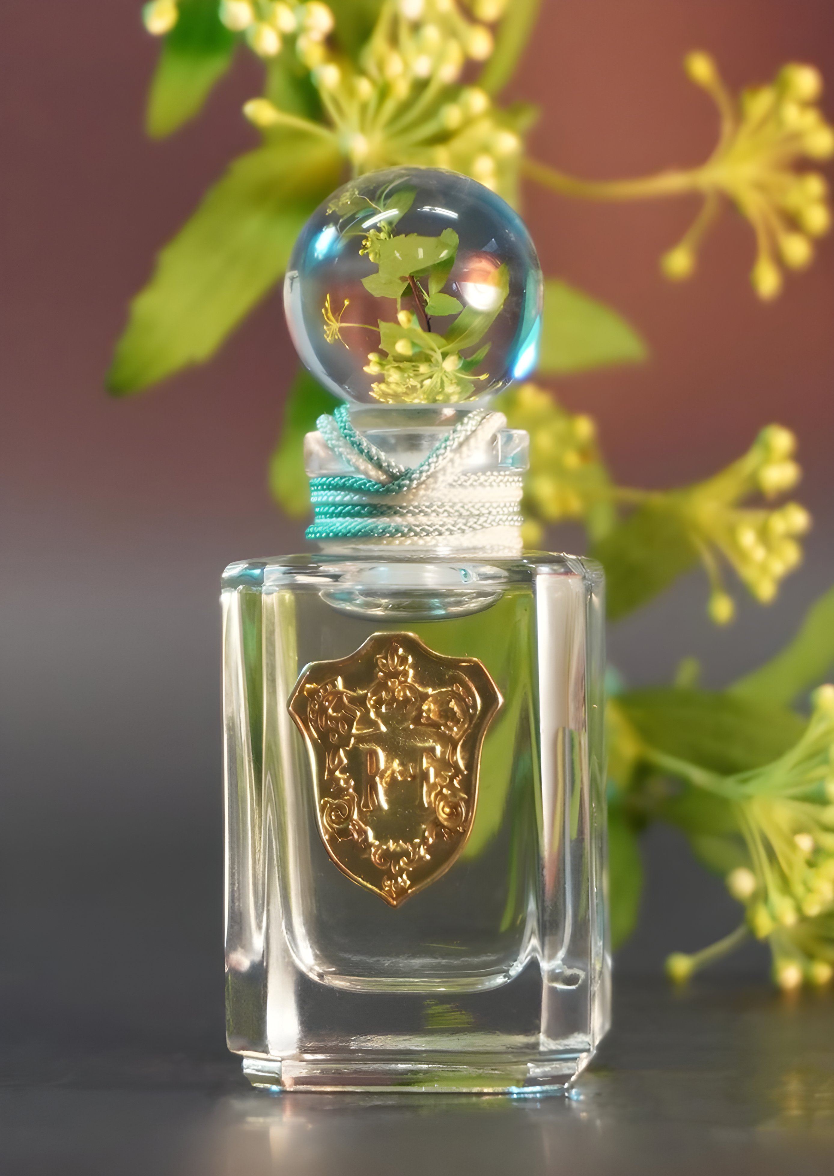 Picture of Green Vanille fragrance