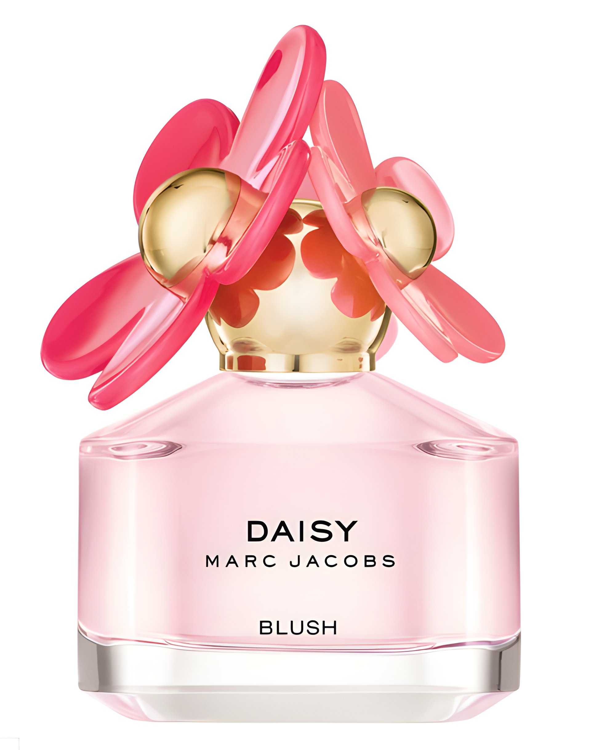 Picture of Daisy Blush fragrance