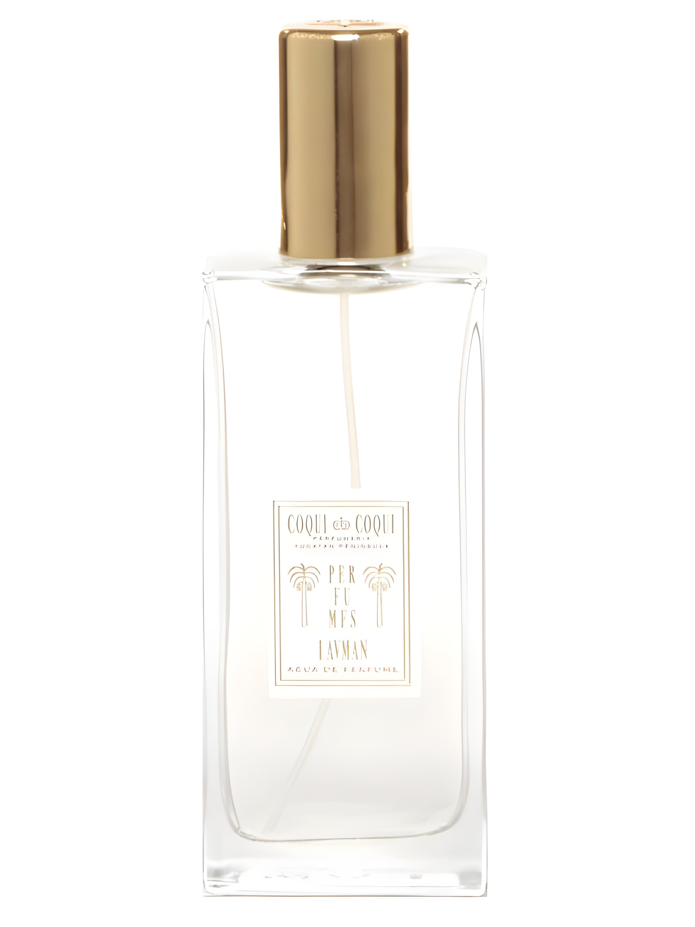 Picture of Lavman fragrance