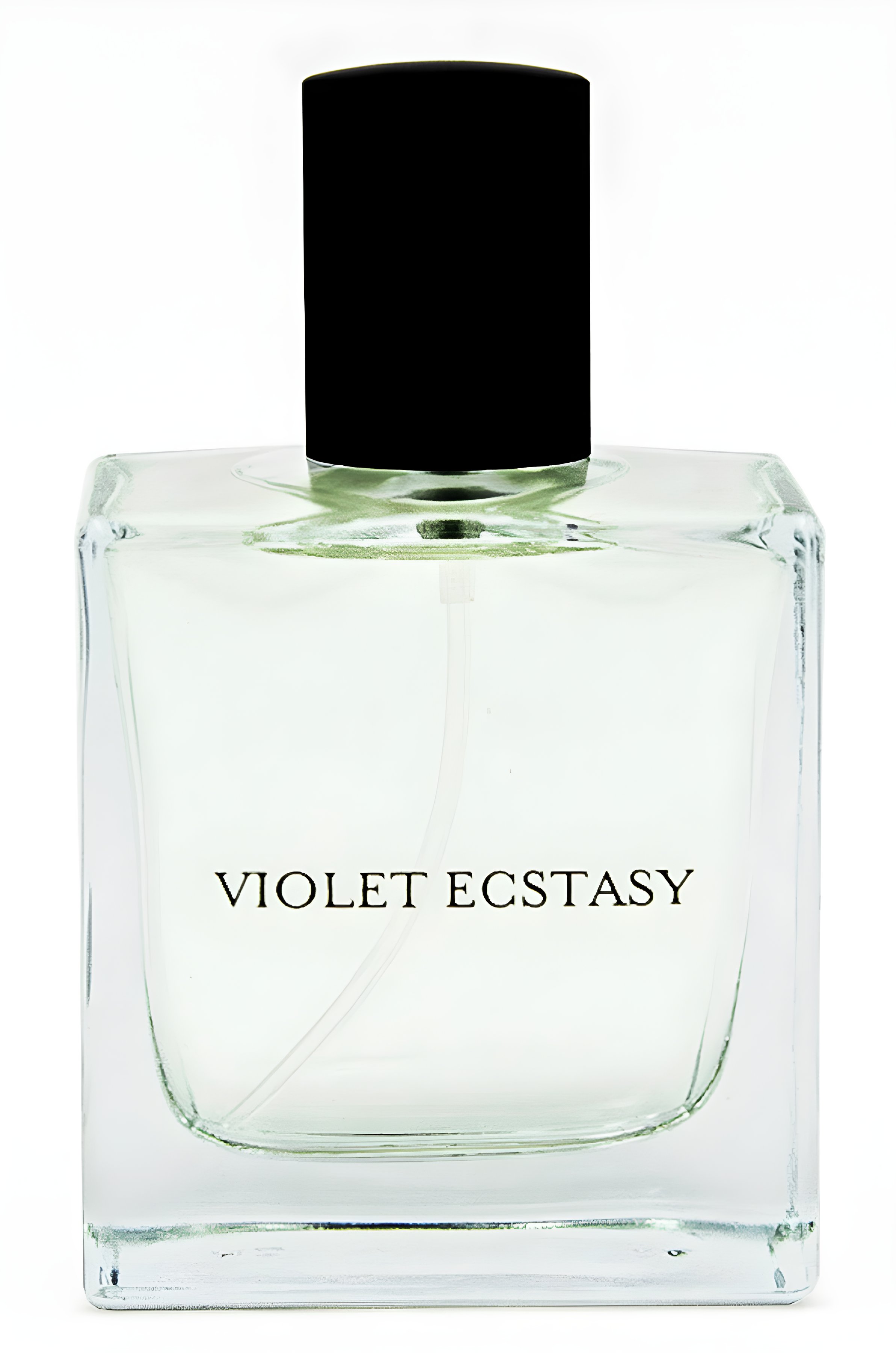 Picture of Violet Ecstasy fragrance