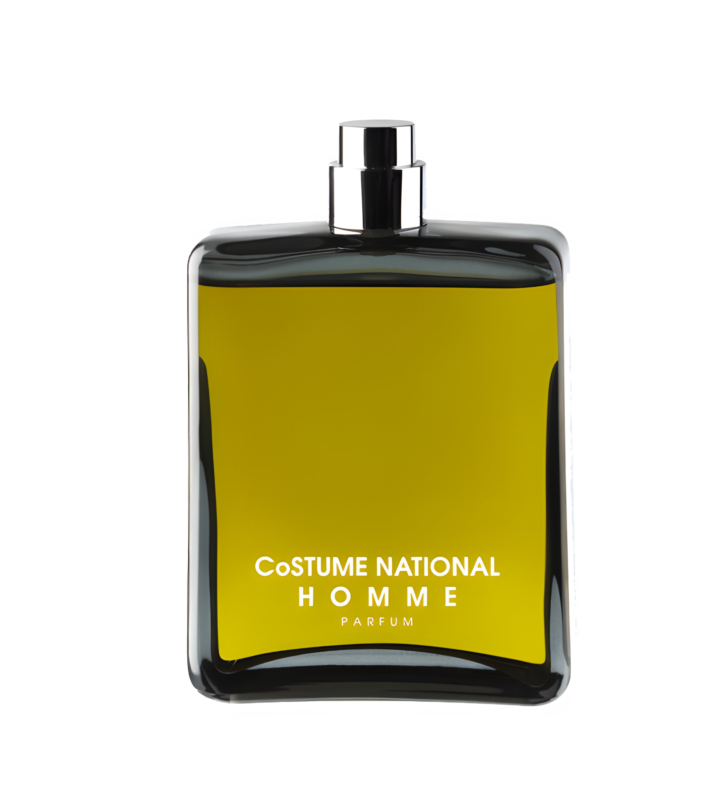 Picture of Costume National Homme Parfum fragrance