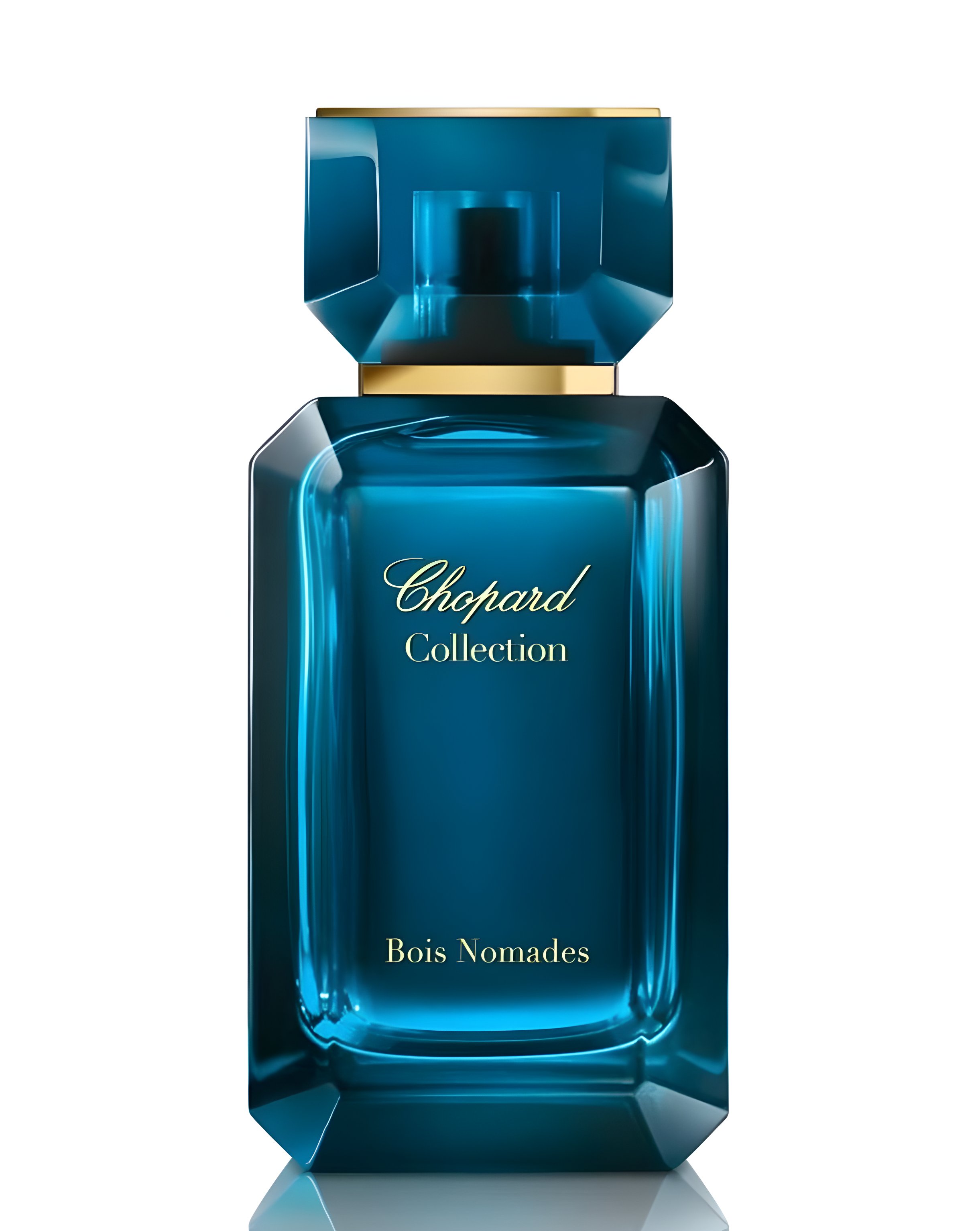 Picture of Bois Nomades fragrance