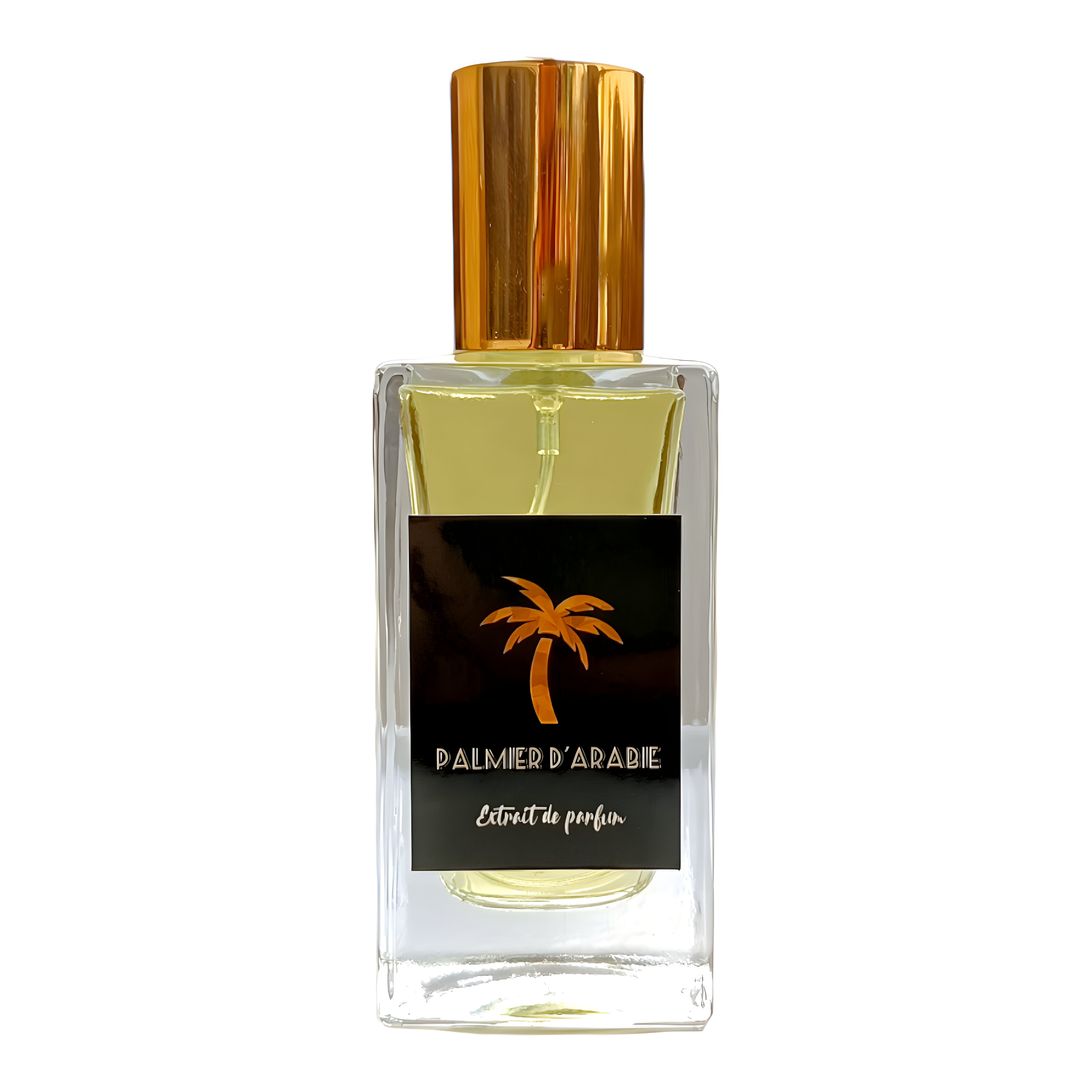 Picture of Palmier D'Arabie fragrance