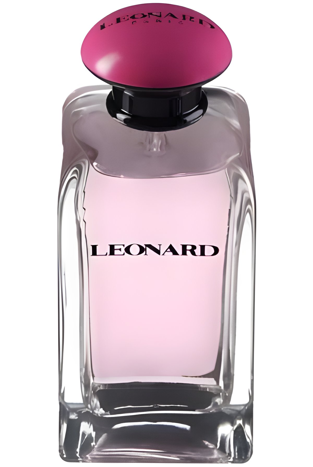 Picture of Leonard fragrance