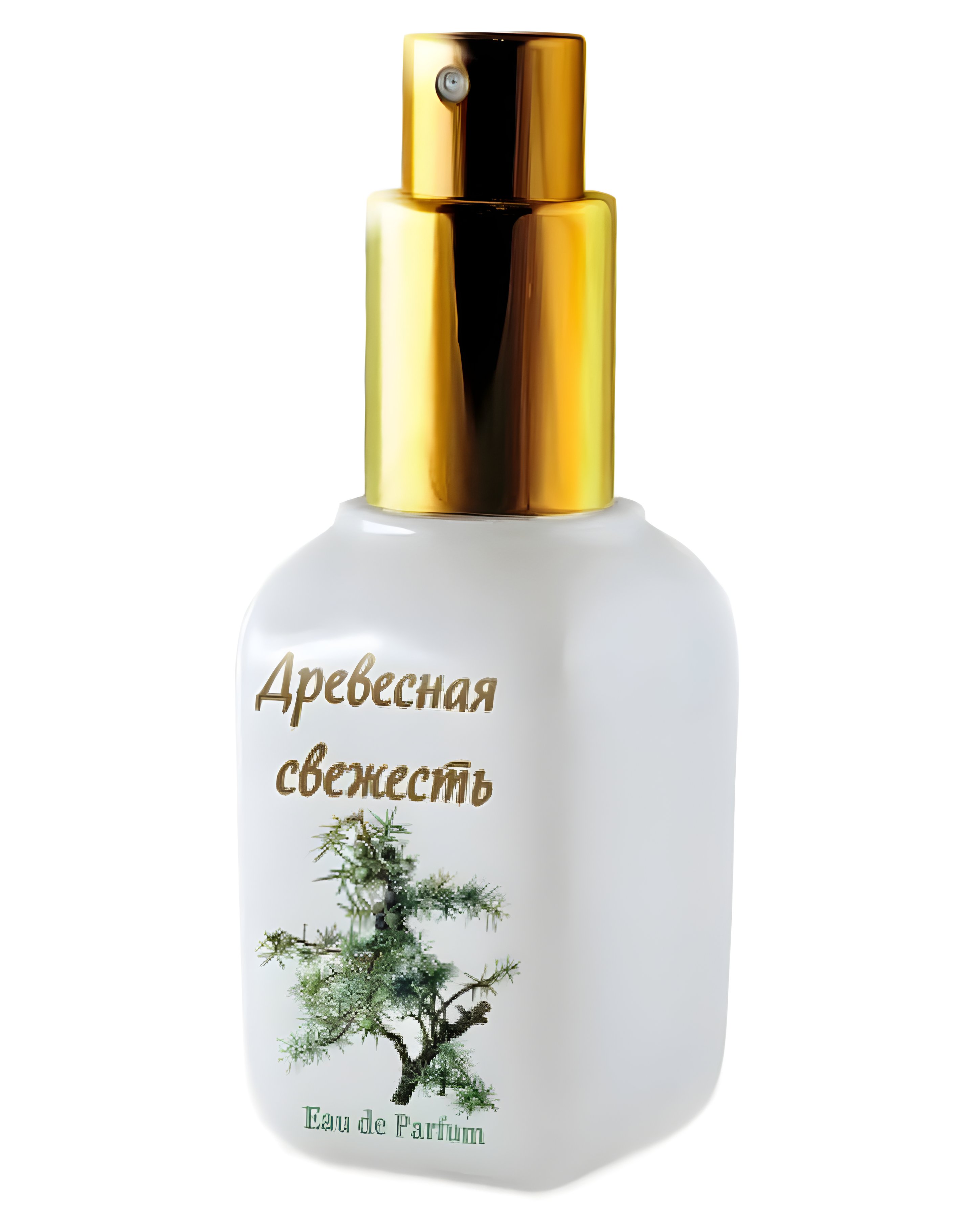 Picture of Woody Freshness (Древесная Свежесть) fragrance