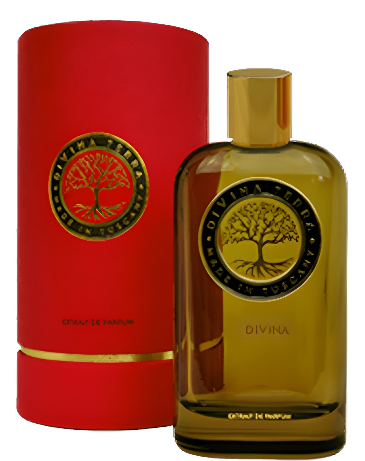 Picture of 01 Divina fragrance