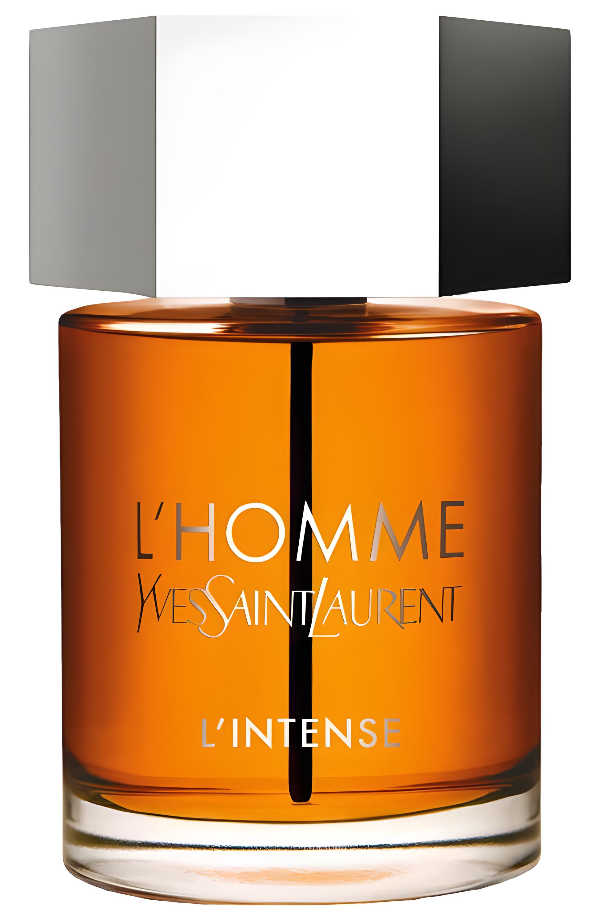 Picture of L'Homme Parfum Intense fragrance