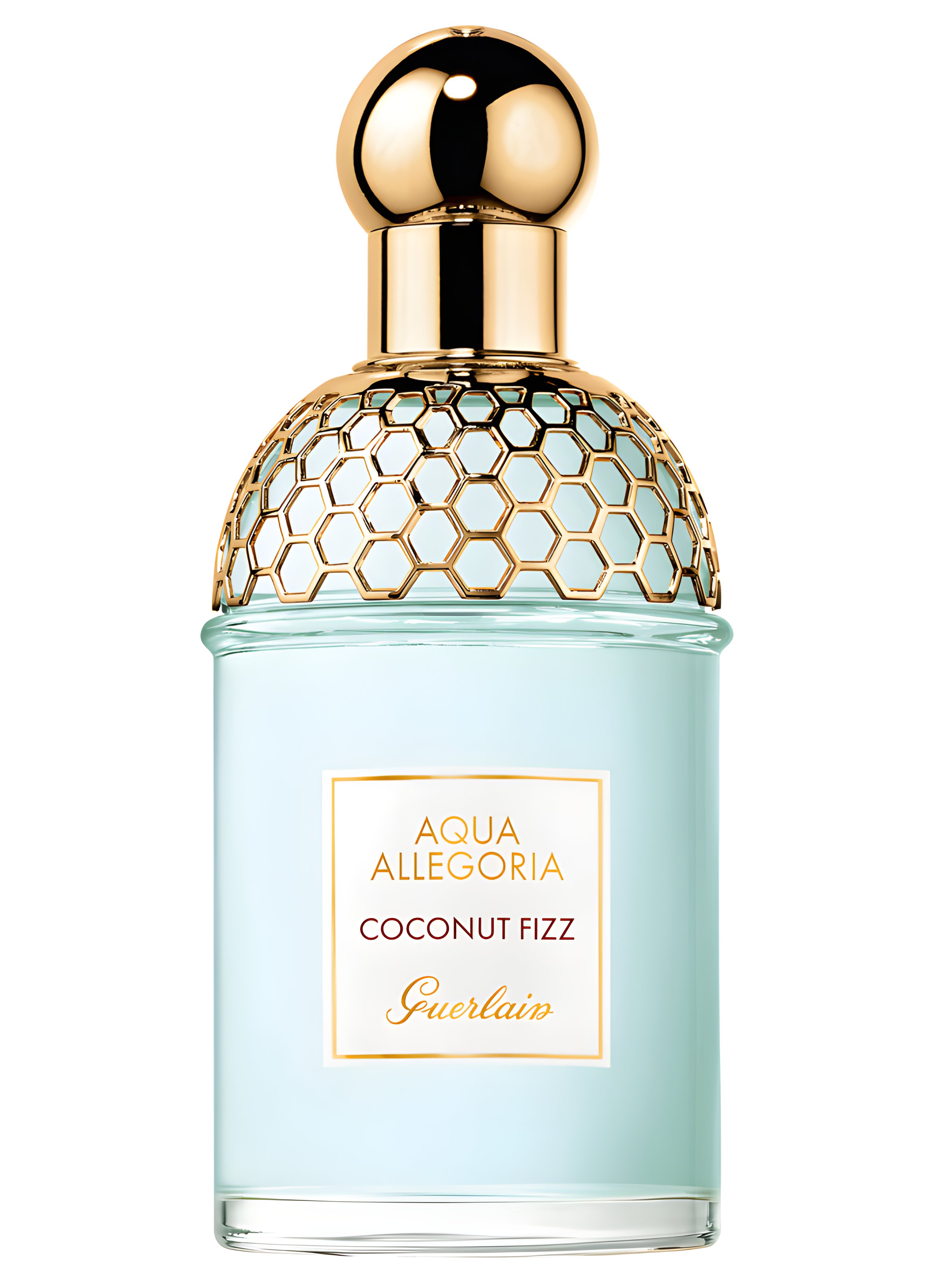 Picture of Aqua Allegoria Coconut Fizz fragrance