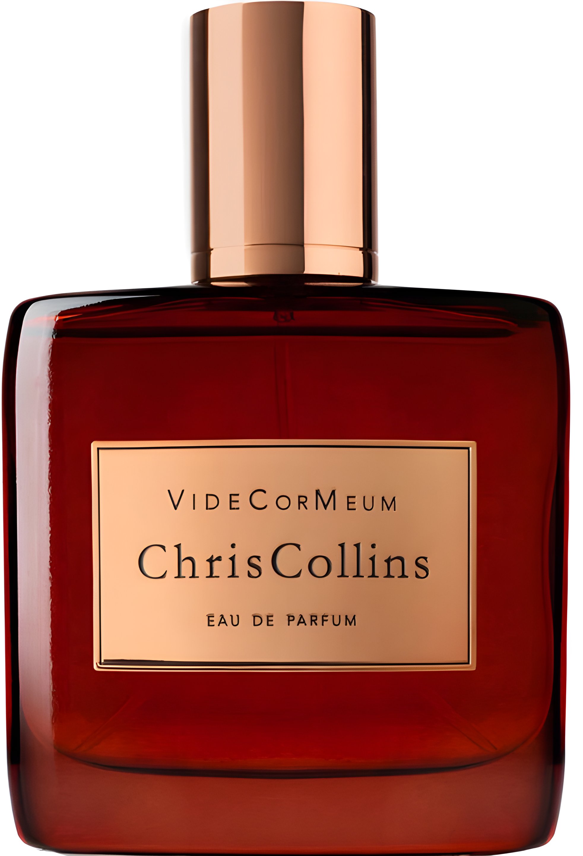 Picture of VideCorMeum fragrance