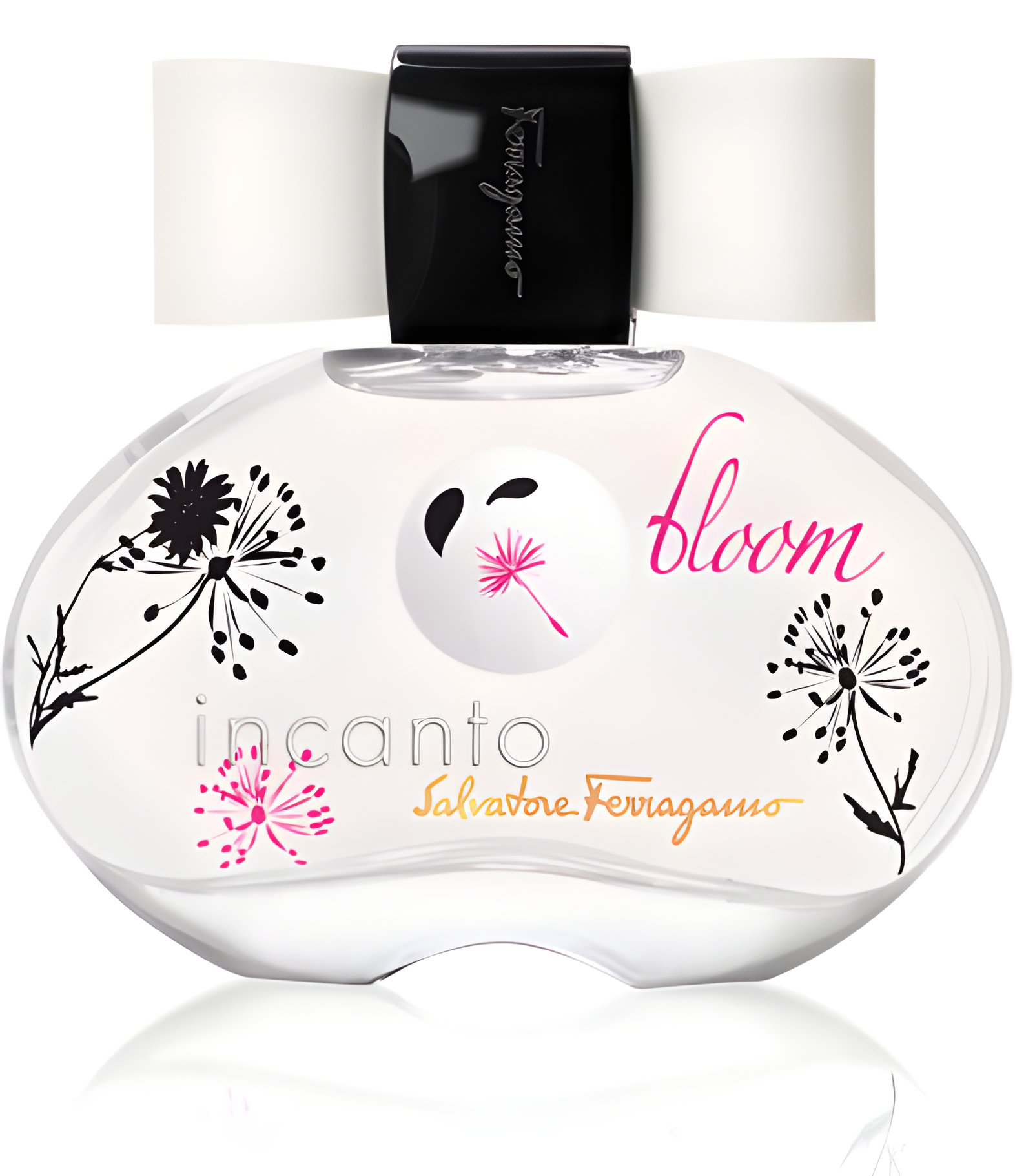 Picture of Incanto Bloom fragrance