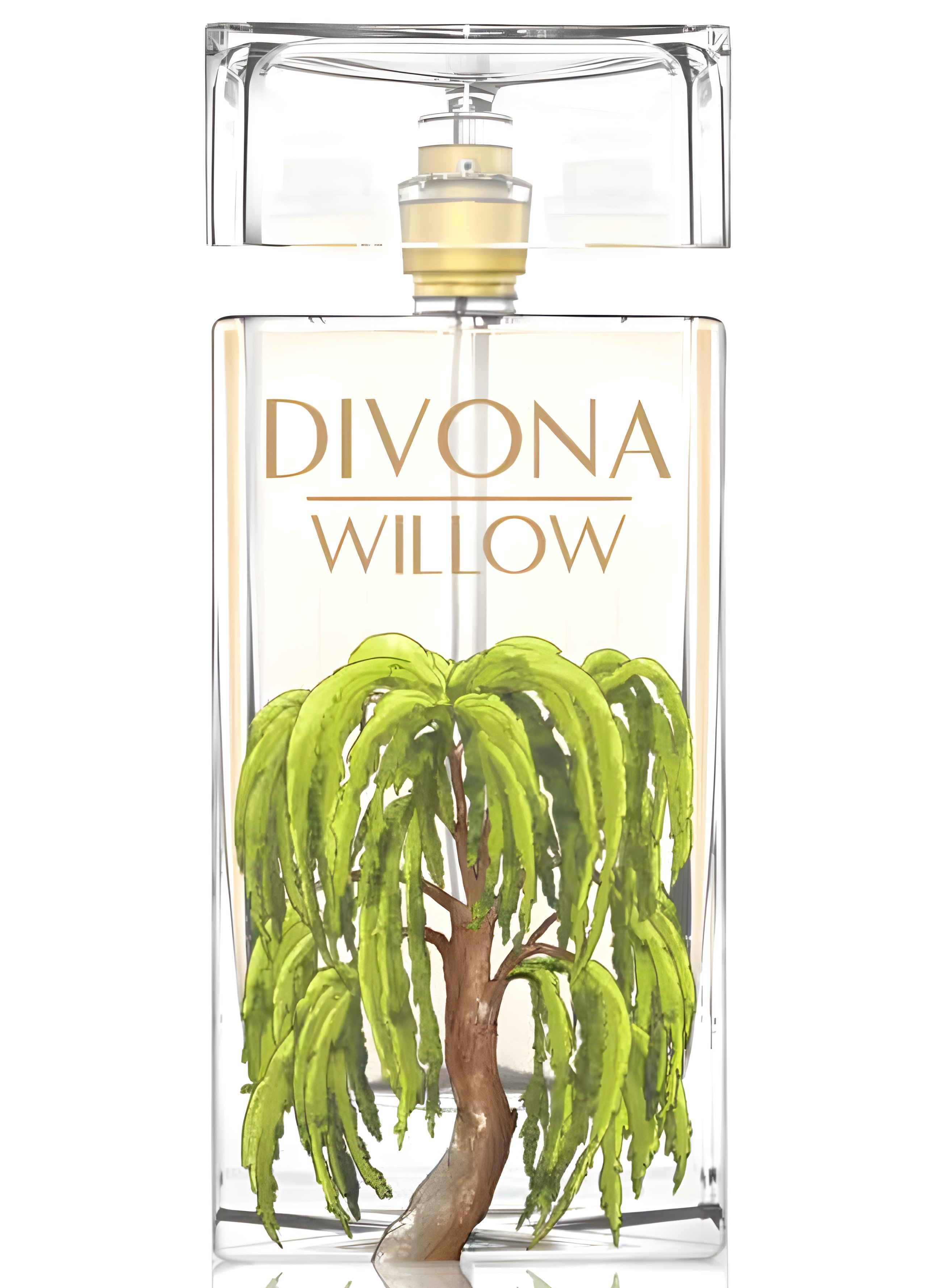 Picture of Willow fragrance