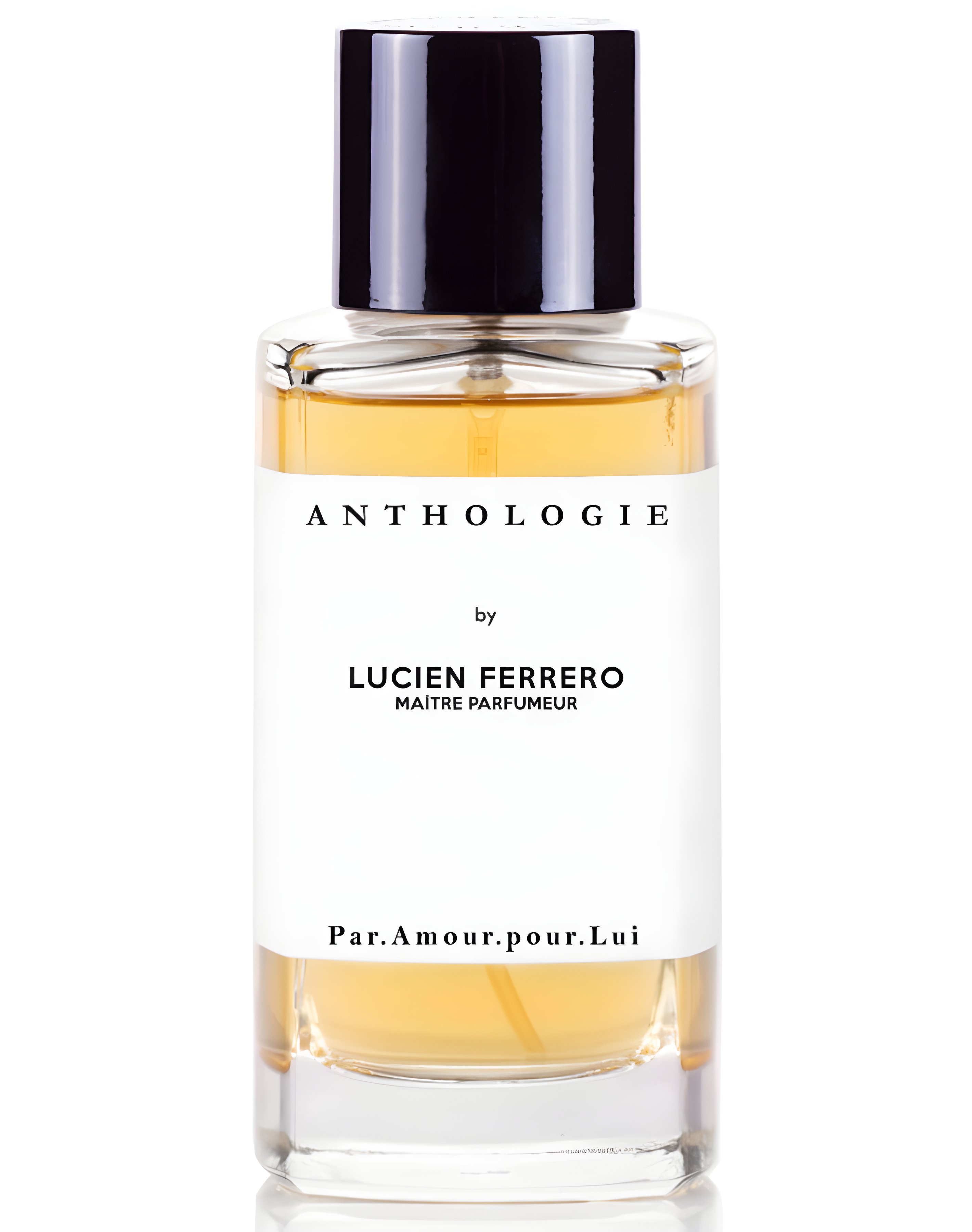 Picture of Par Amour Pour Lui fragrance