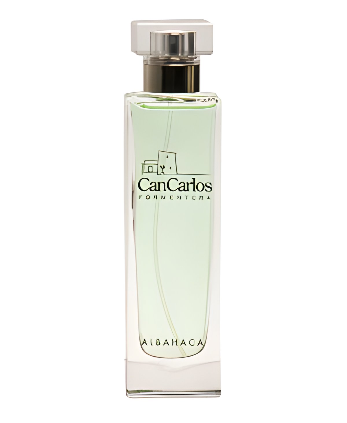 Picture of Albahaca fragrance