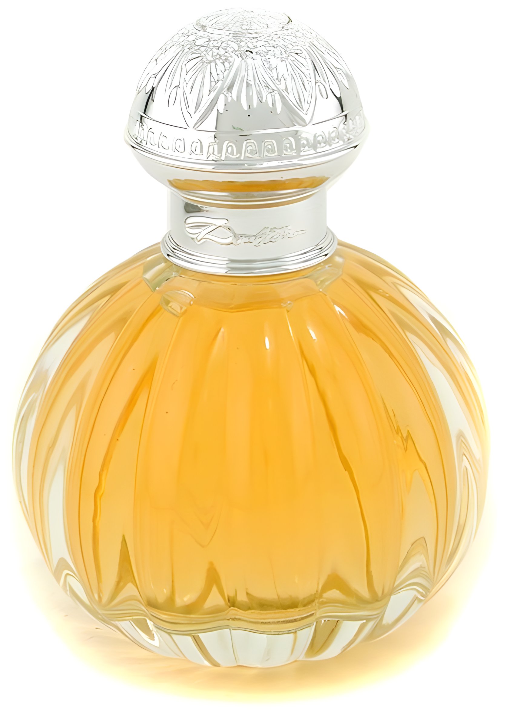 Picture of Doulton fragrance