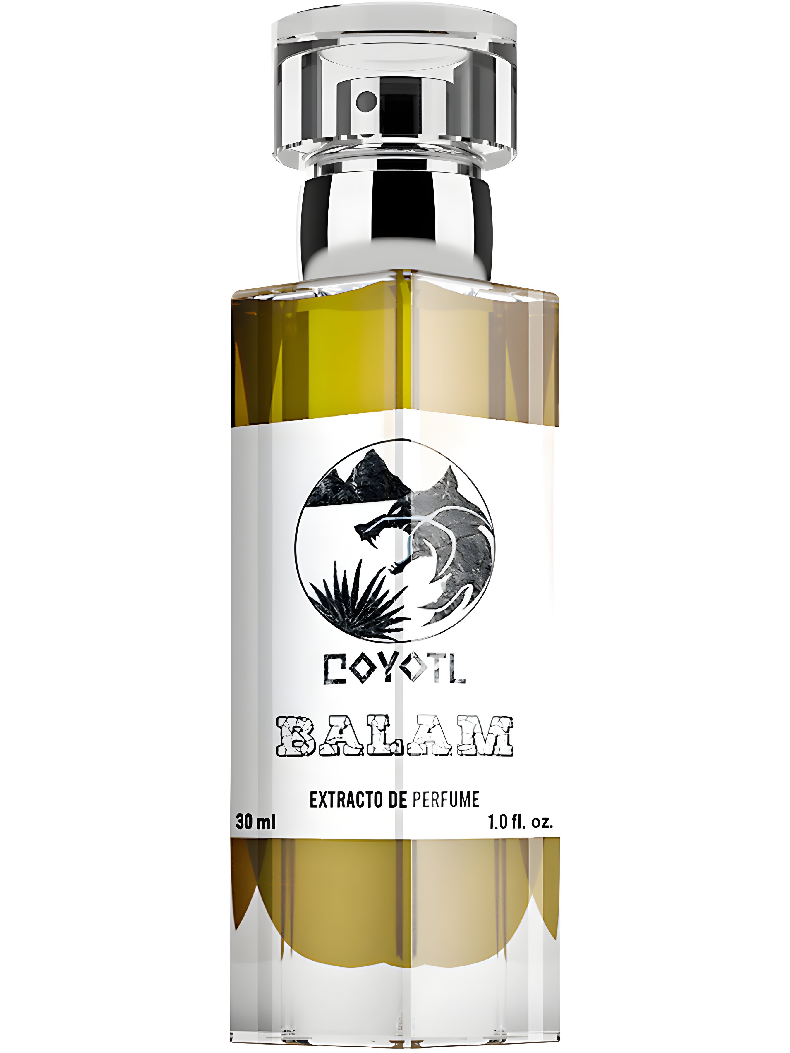 Picture of Balam fragrance