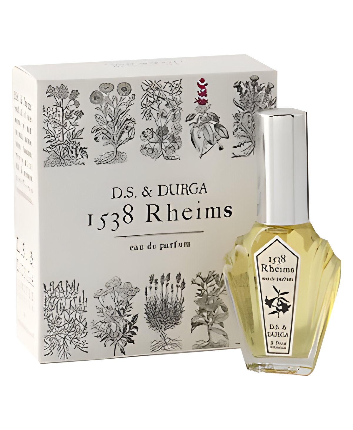 Picture of 1538 Rheims fragrance