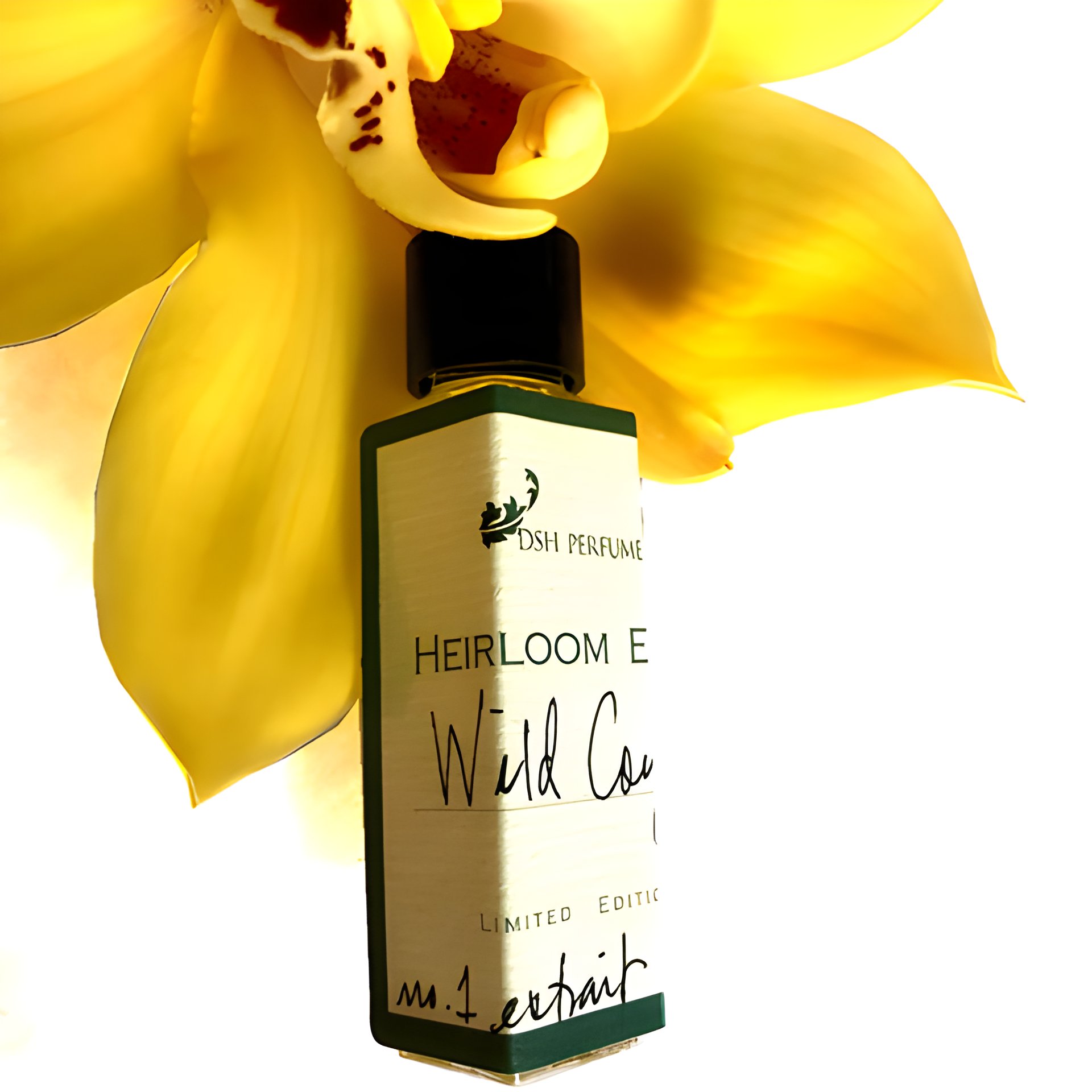 Picture of Wild Coyote fragrance