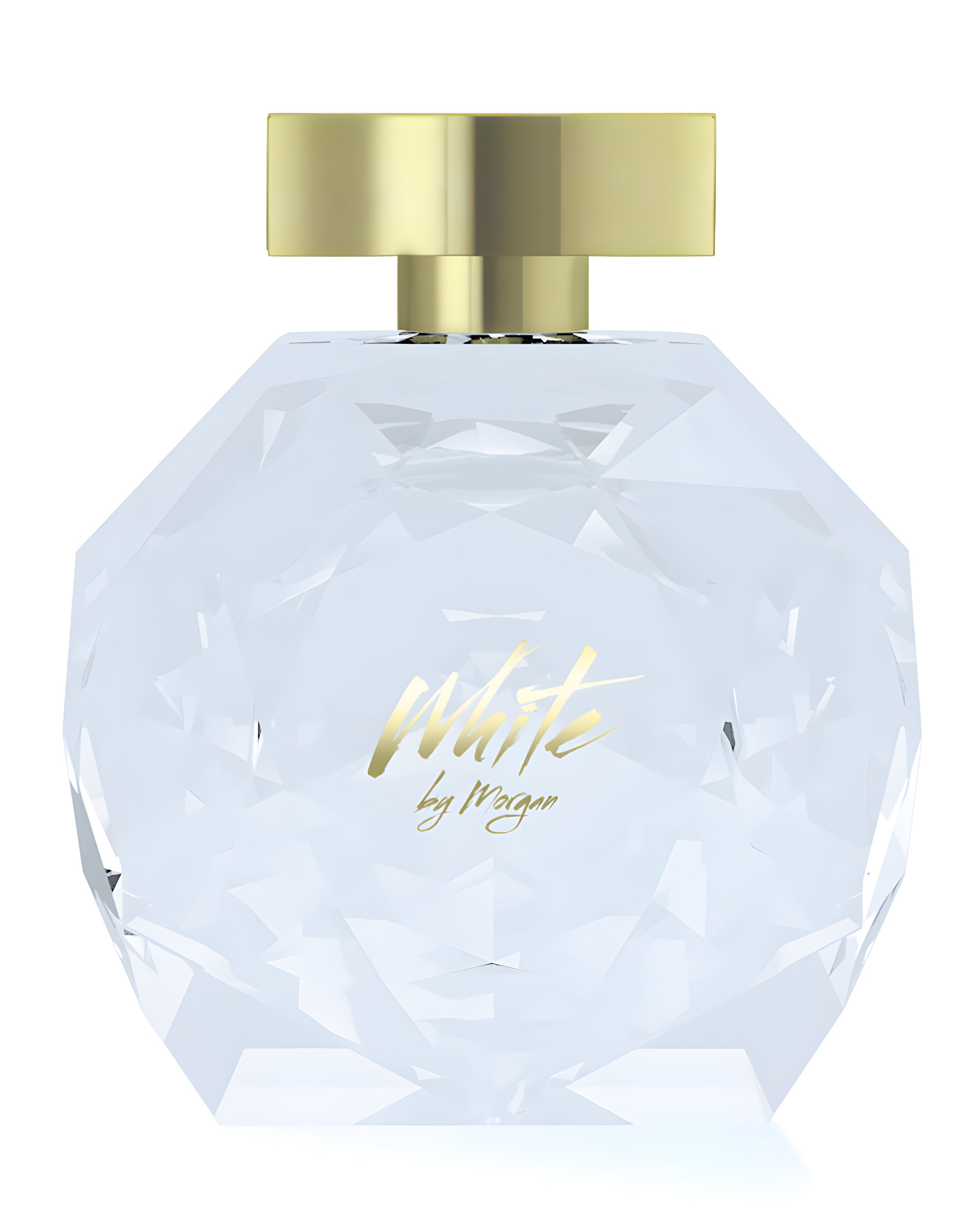 Picture of White by Morgan fragrance