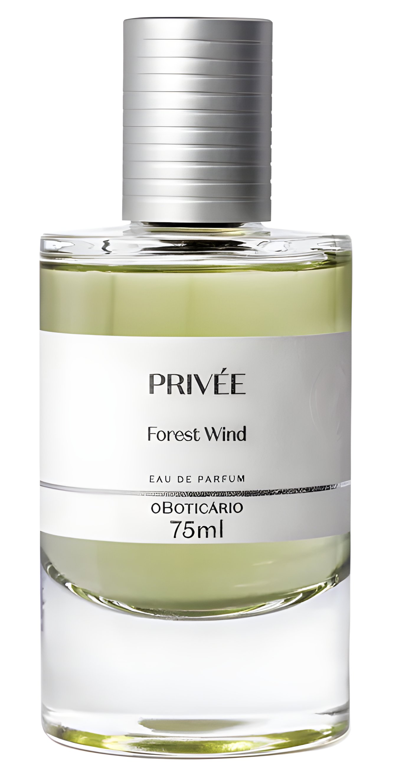 Picture of Forest Wind fragrance