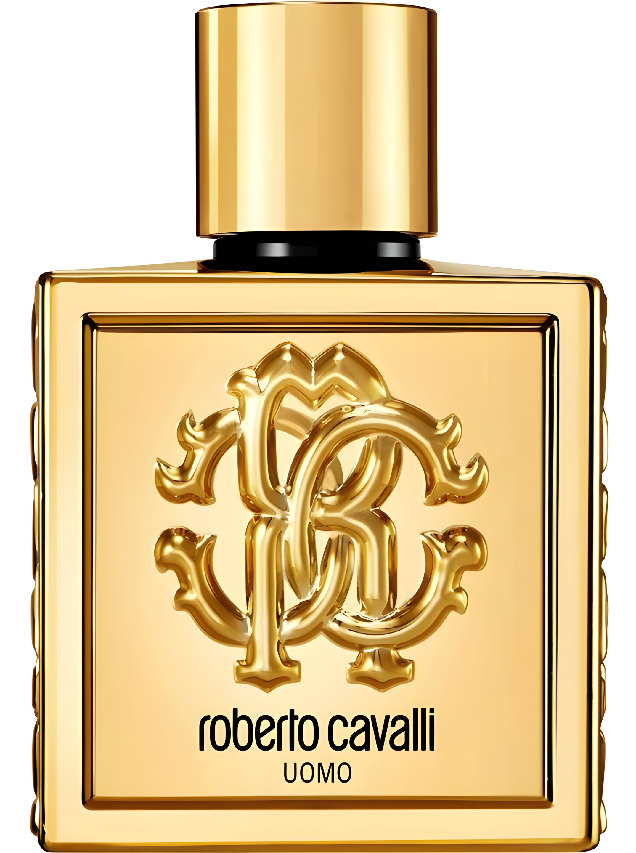 Picture of Roberto Cavalli Uomo Golden Anniversary fragrance