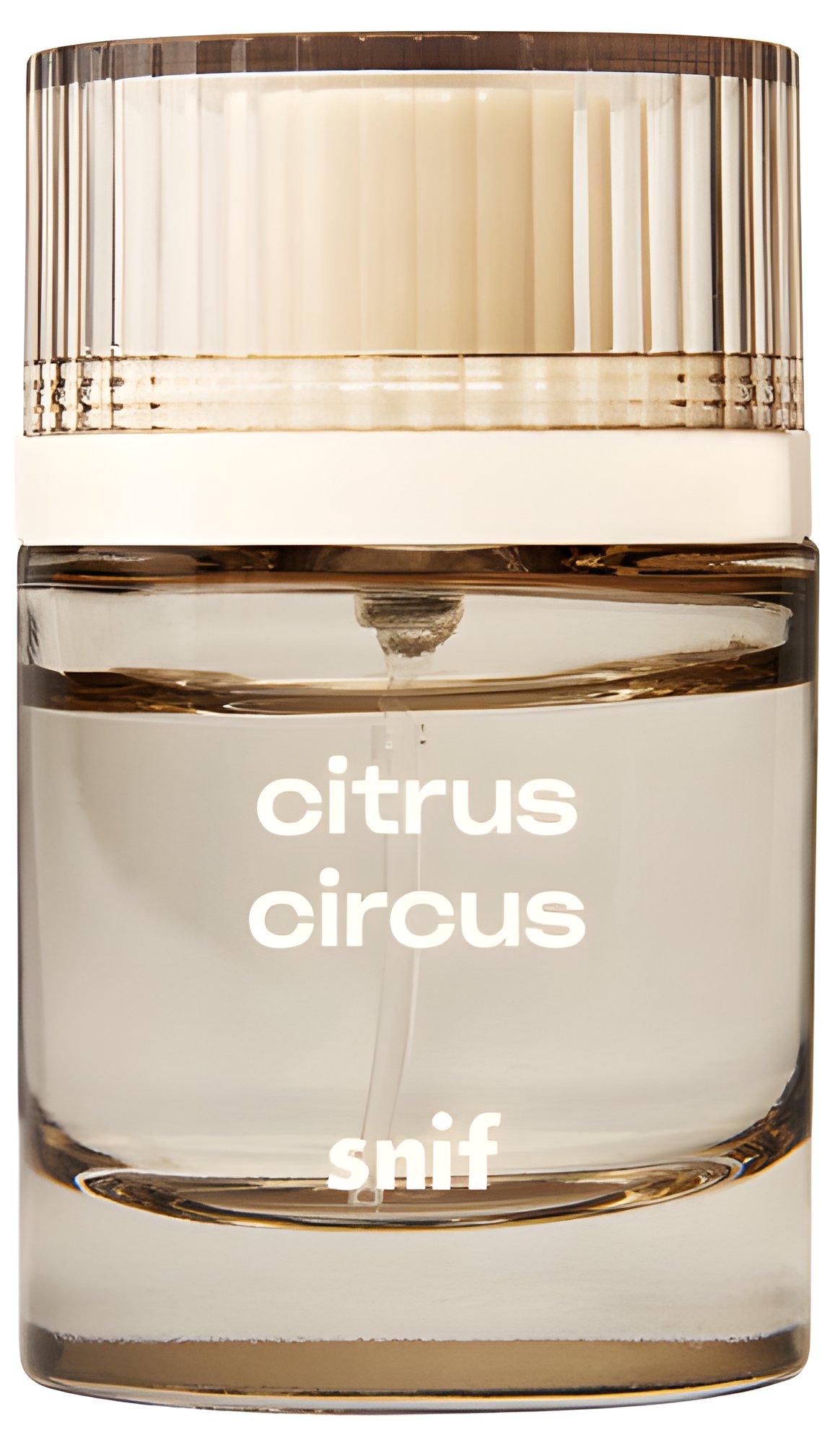 Picture of Citrus Circus fragrance