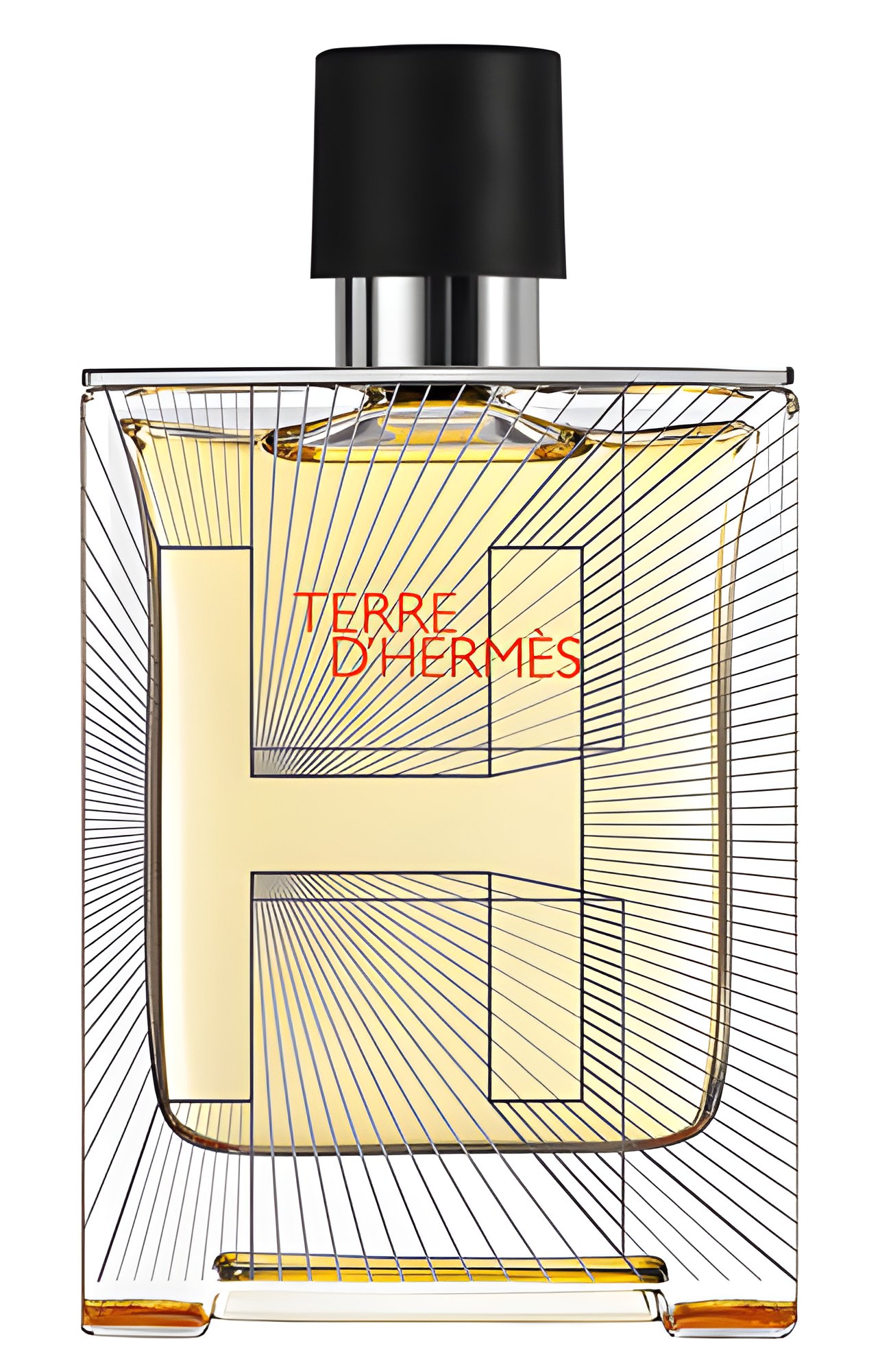 Picture of Terre d'Hermes Flacon H 2014 fragrance