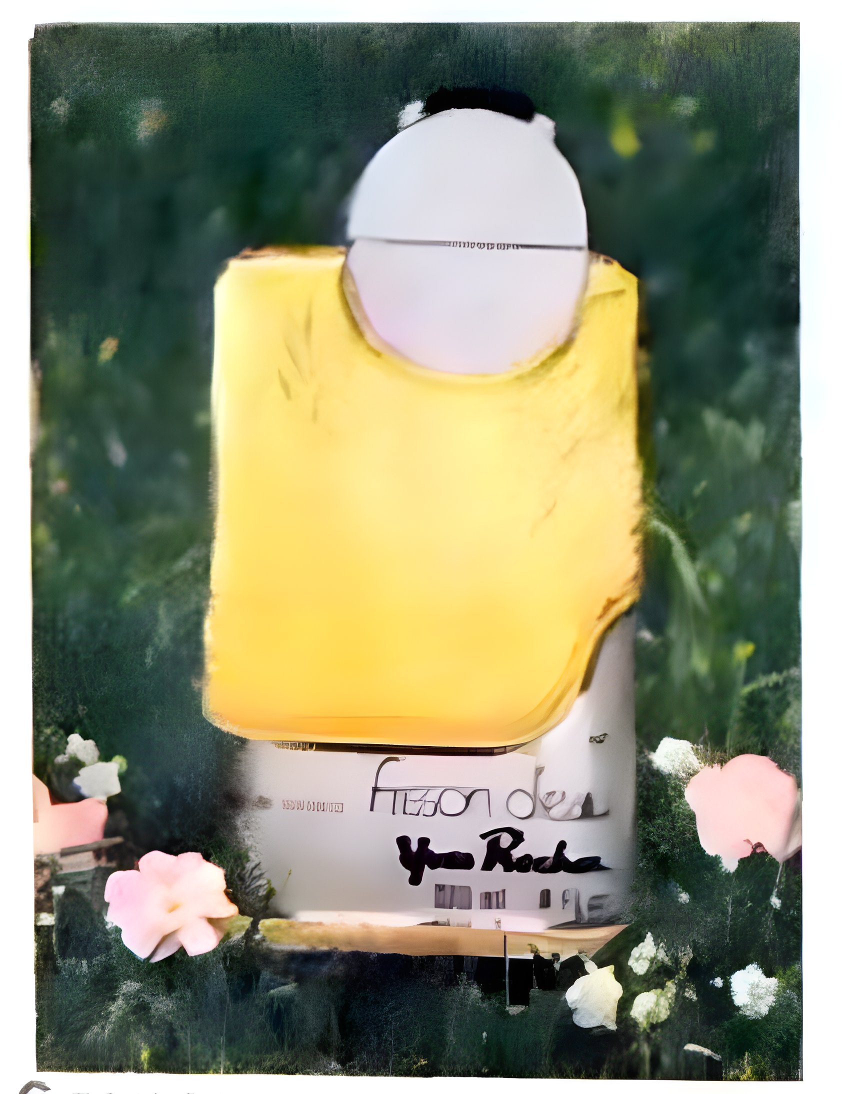 Picture of Frisson d'Eau fragrance