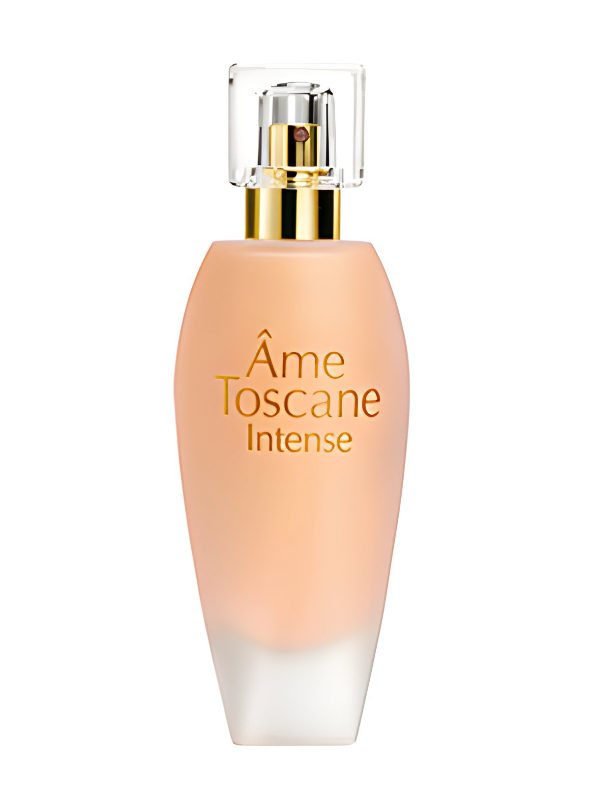 Picture of Ame Toscane Intense fragrance