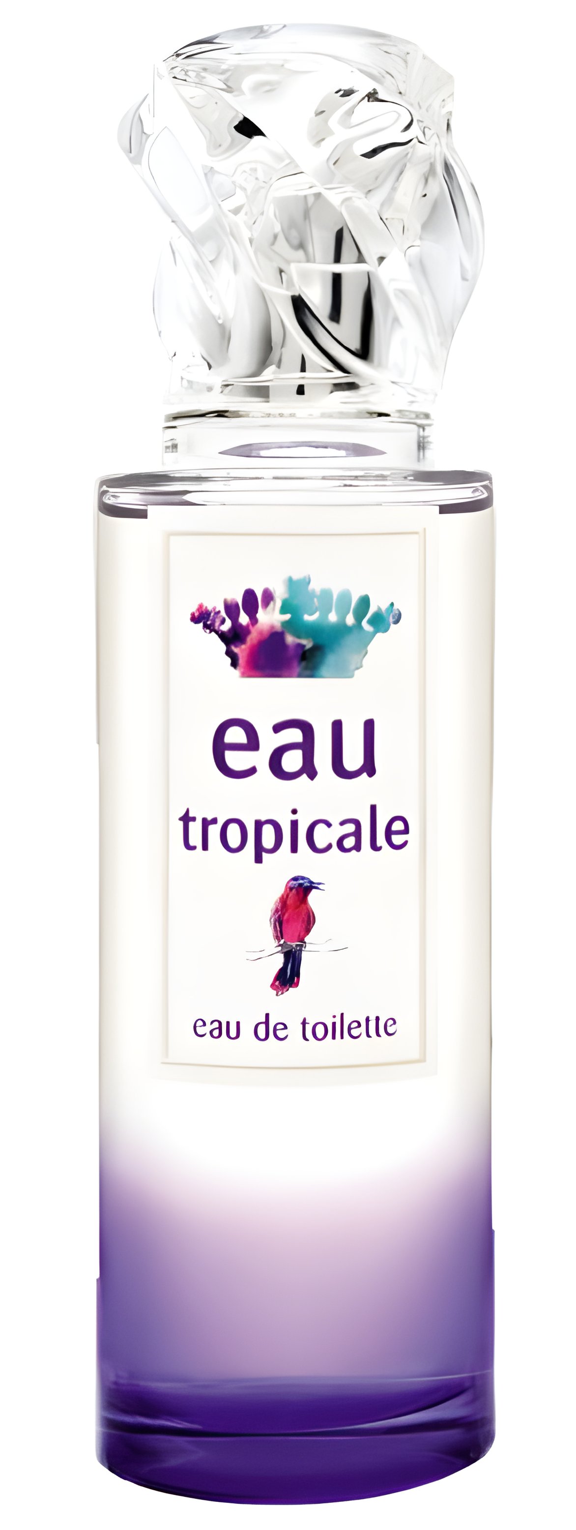 Picture of Eau Tropicale fragrance