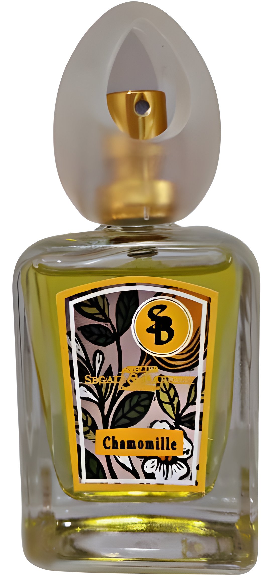 Picture of Chamomille fragrance