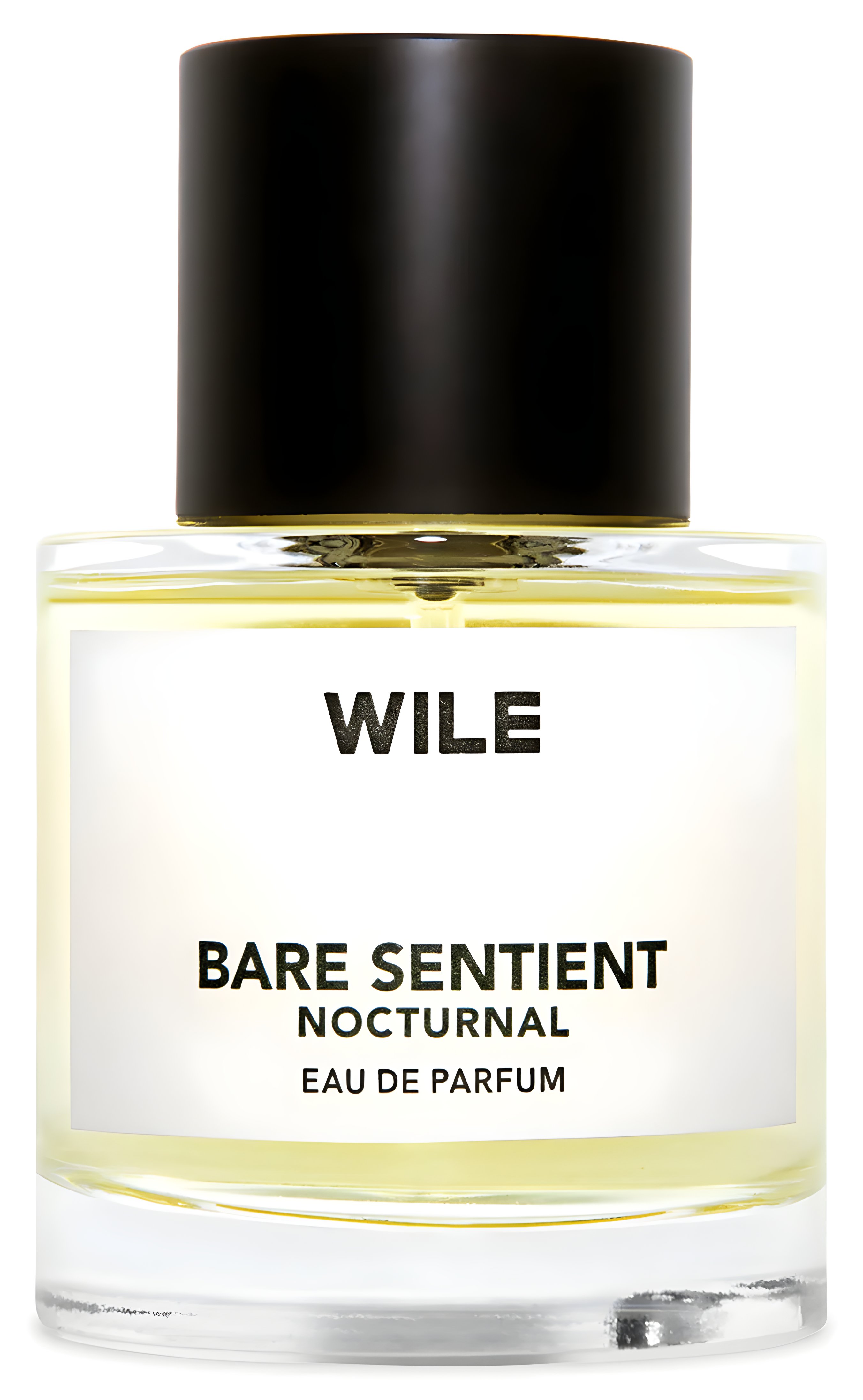 Picture of Bare Sentient Nocturnal fragrance