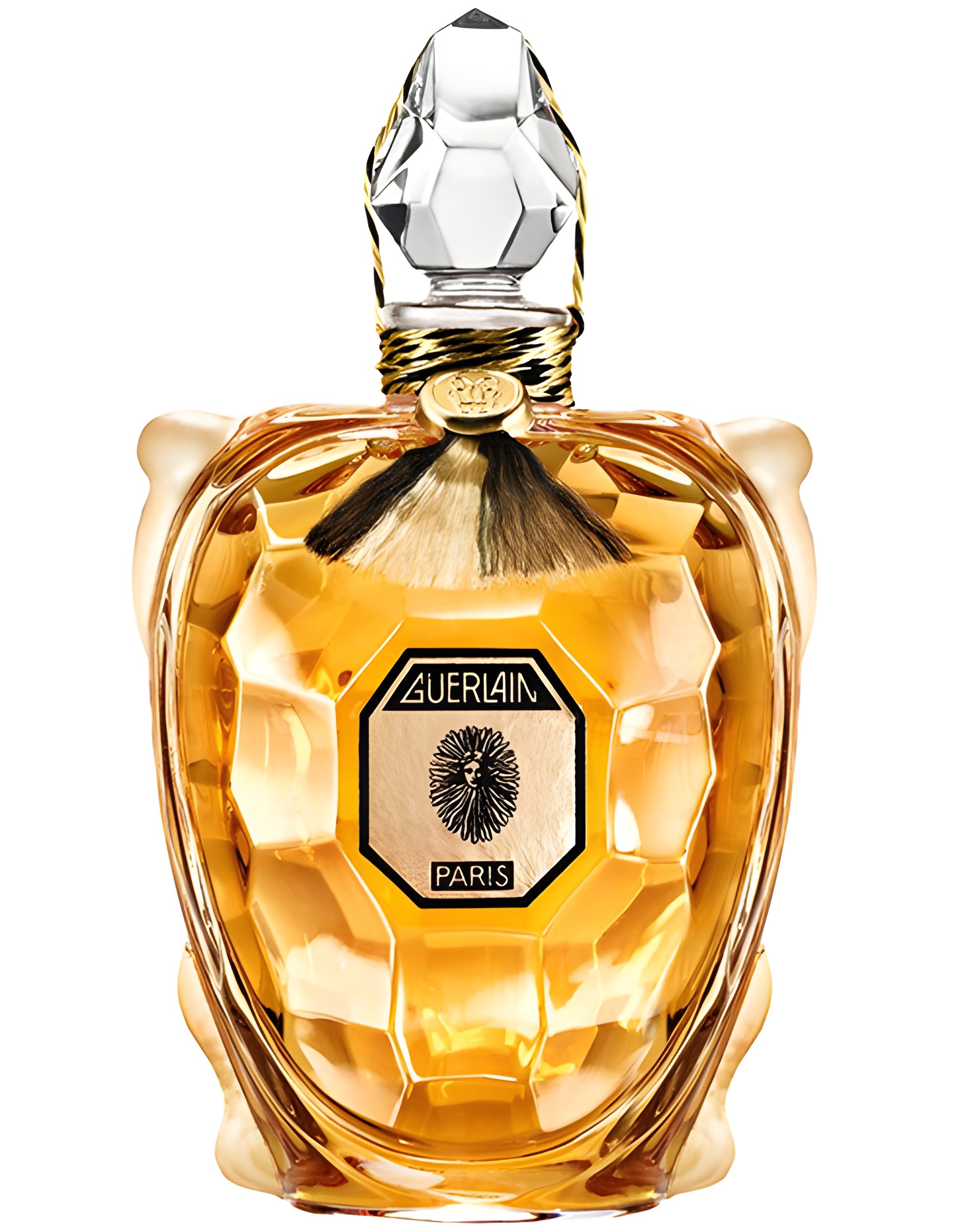 Picture of Flacon Tortue fragrance