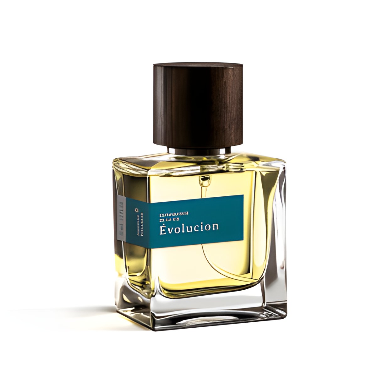 Picture of Évolucion fragrance