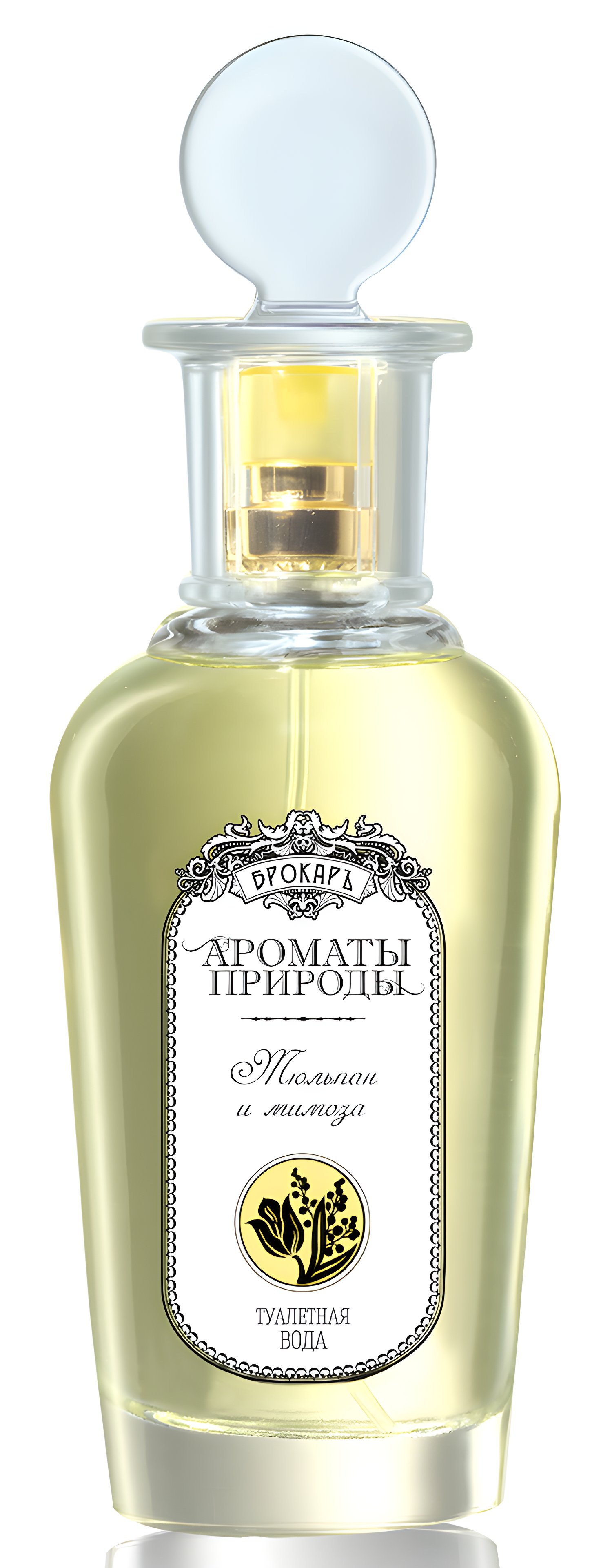 Picture of Тюльпан И Мимоза - Tulip and Mimosa fragrance