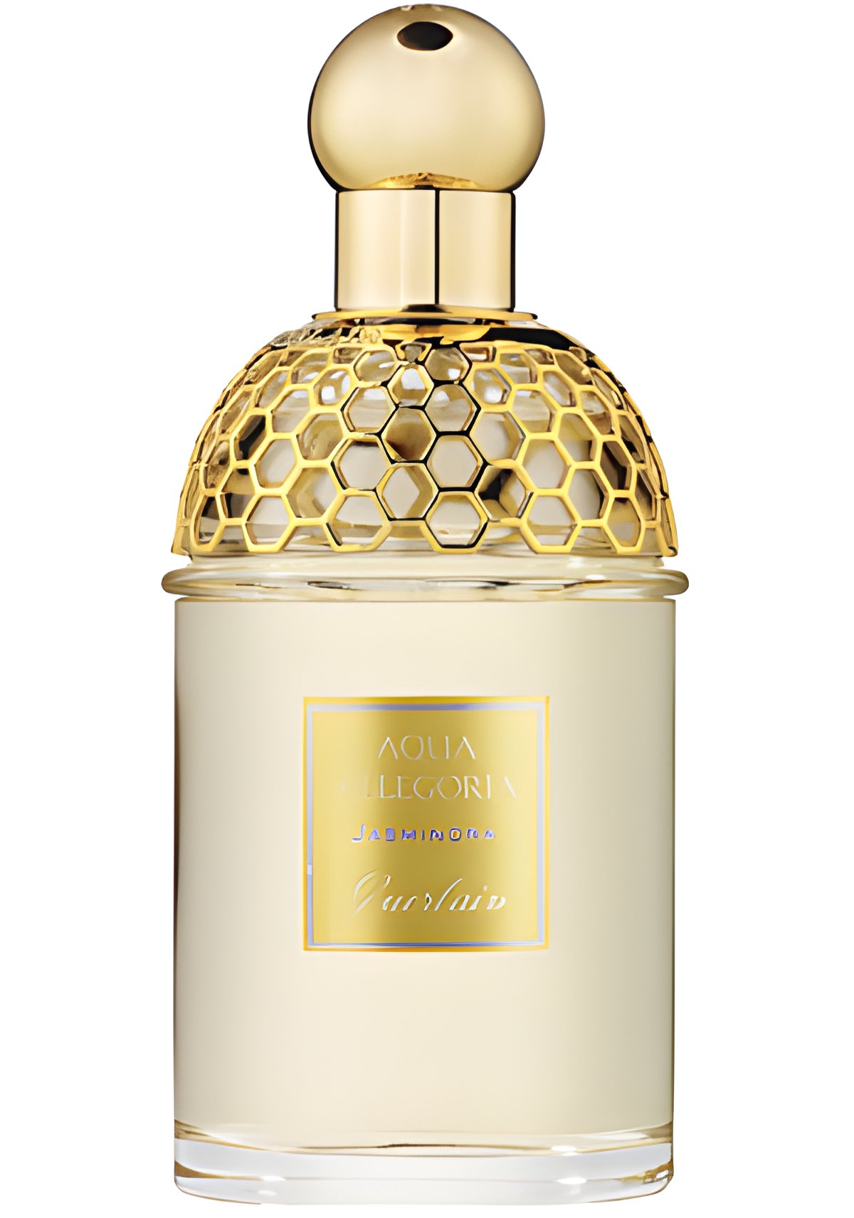 Picture of Aqua Allegoria Jasminora fragrance