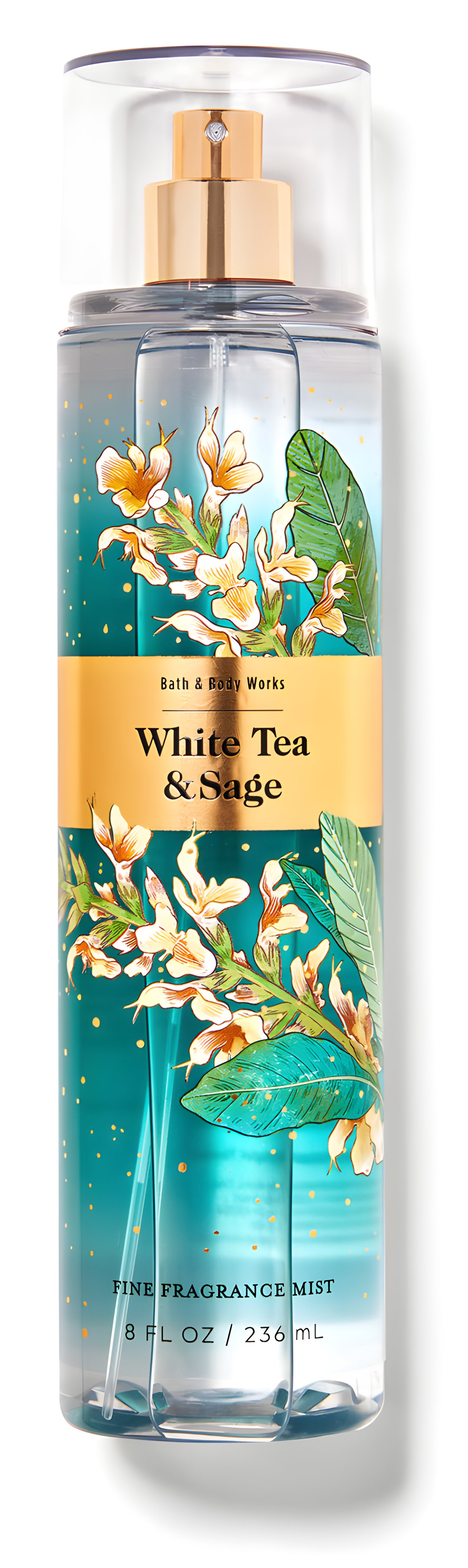 Picture of White Tea & Sage fragrance