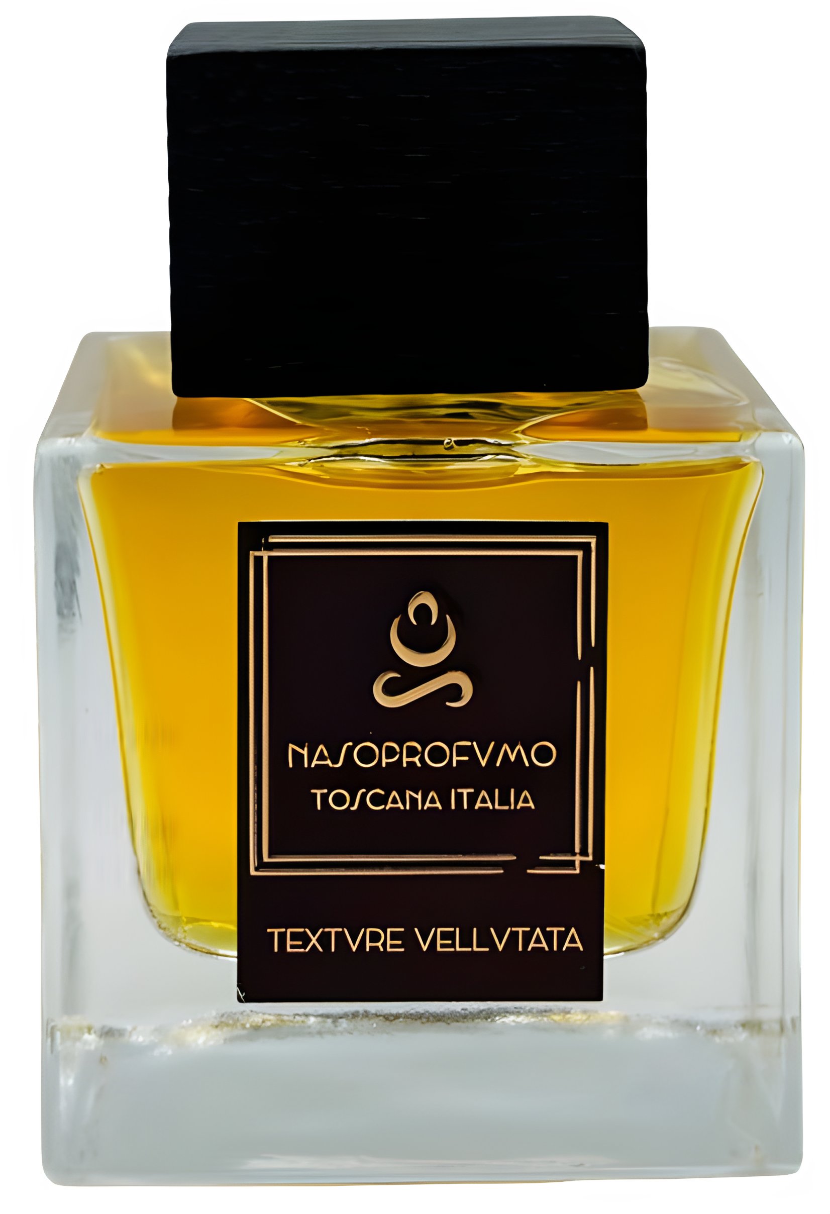 Picture of Texture Vellutata fragrance