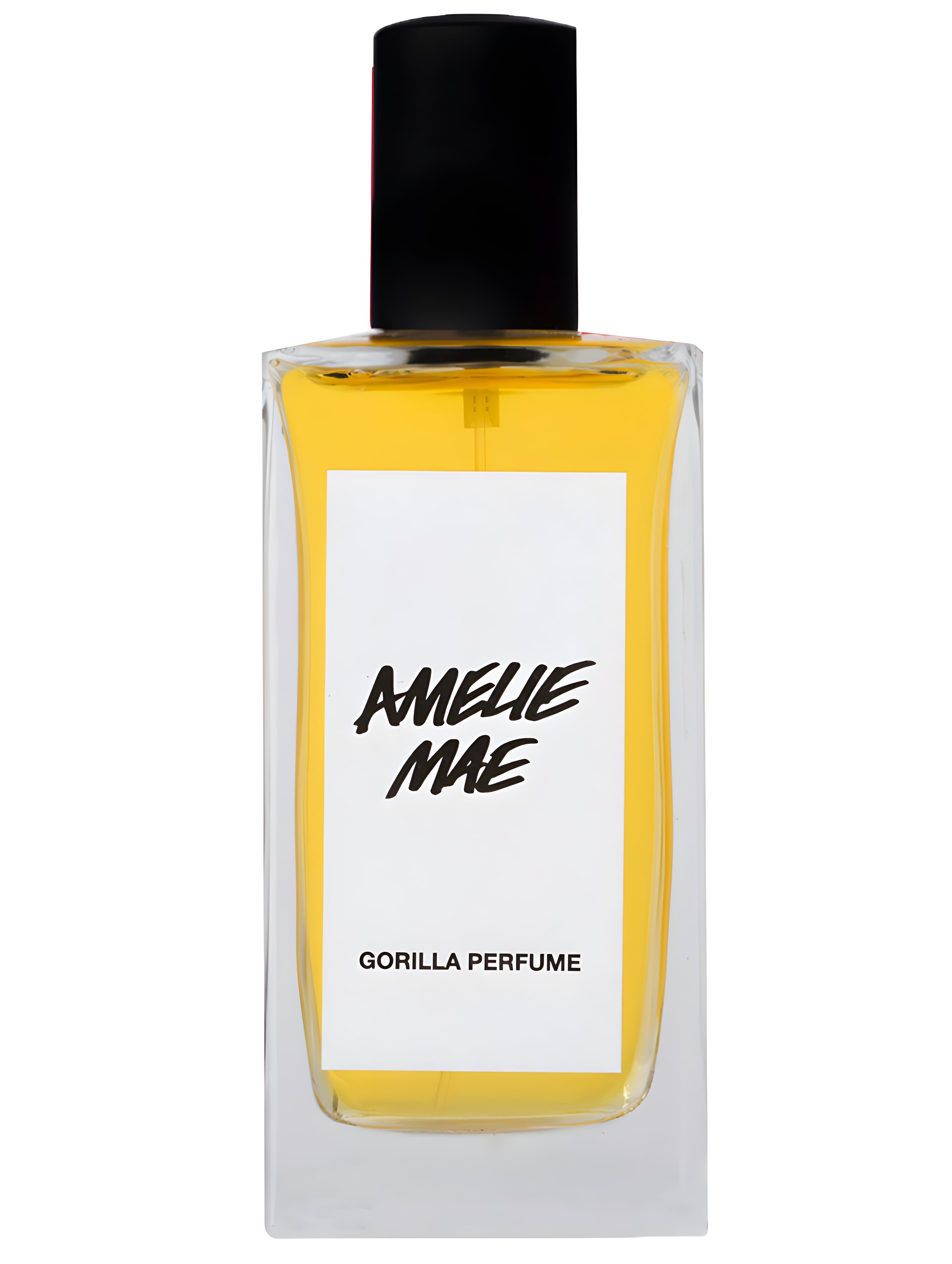 Picture of Amelie Mae fragrance