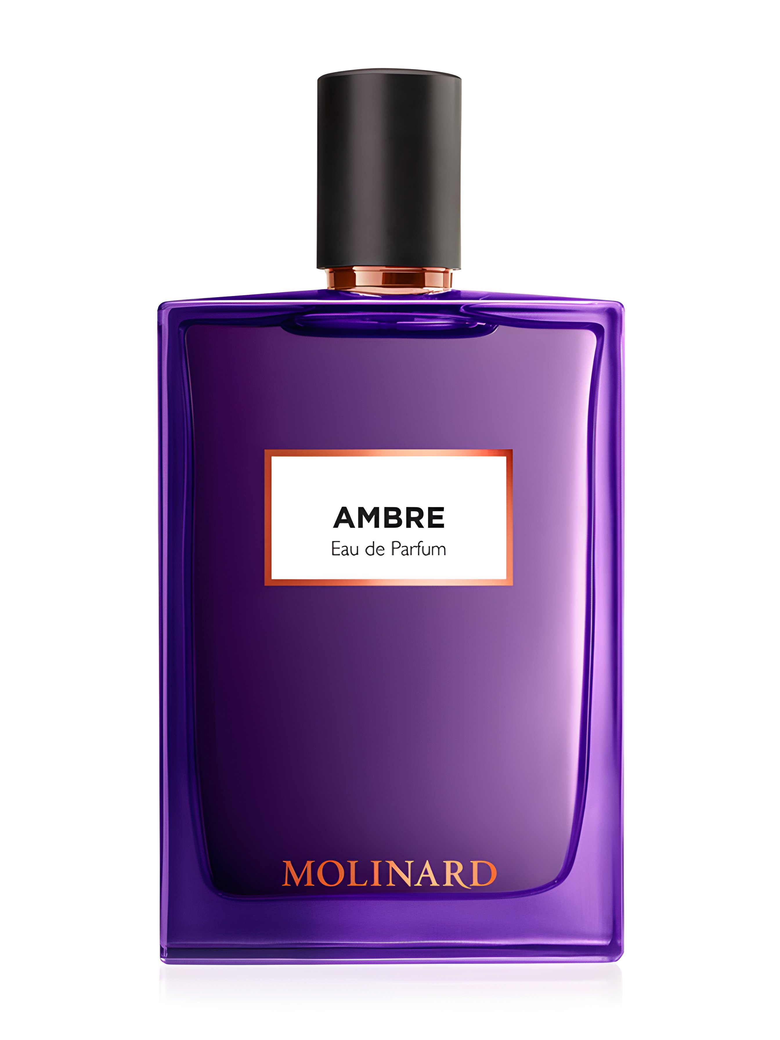 Picture of Ambre Eau de Parfum fragrance