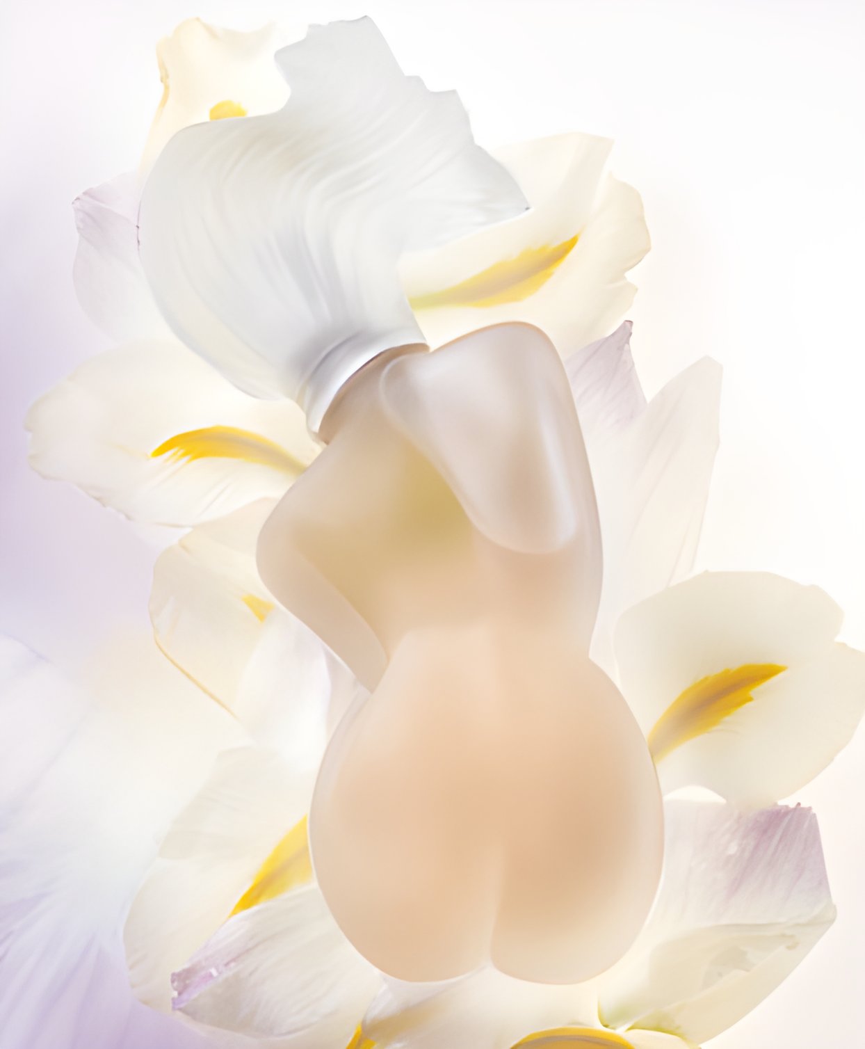 Picture of Ame Toscane fragrance