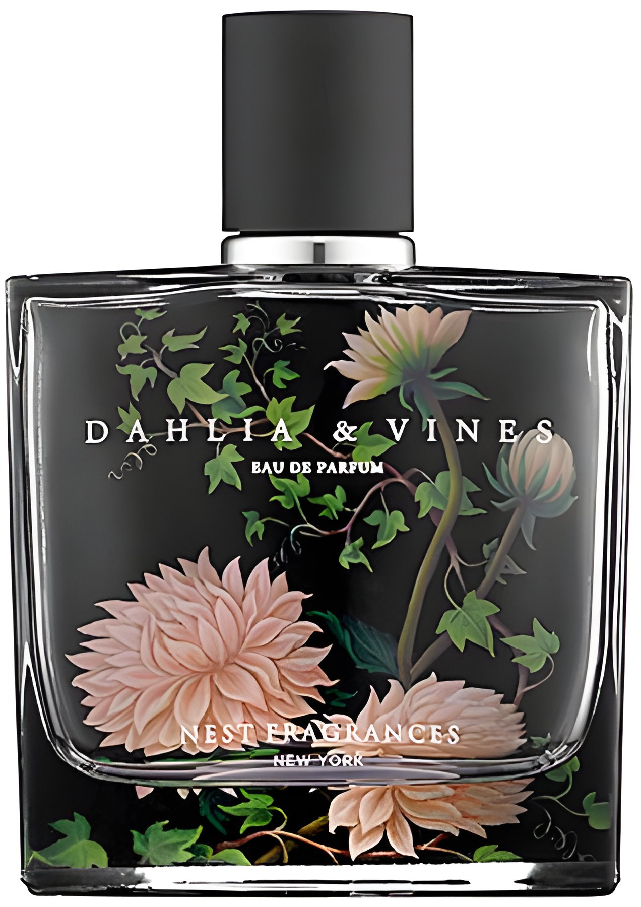 Picture of Dahlia & Vines fragrance