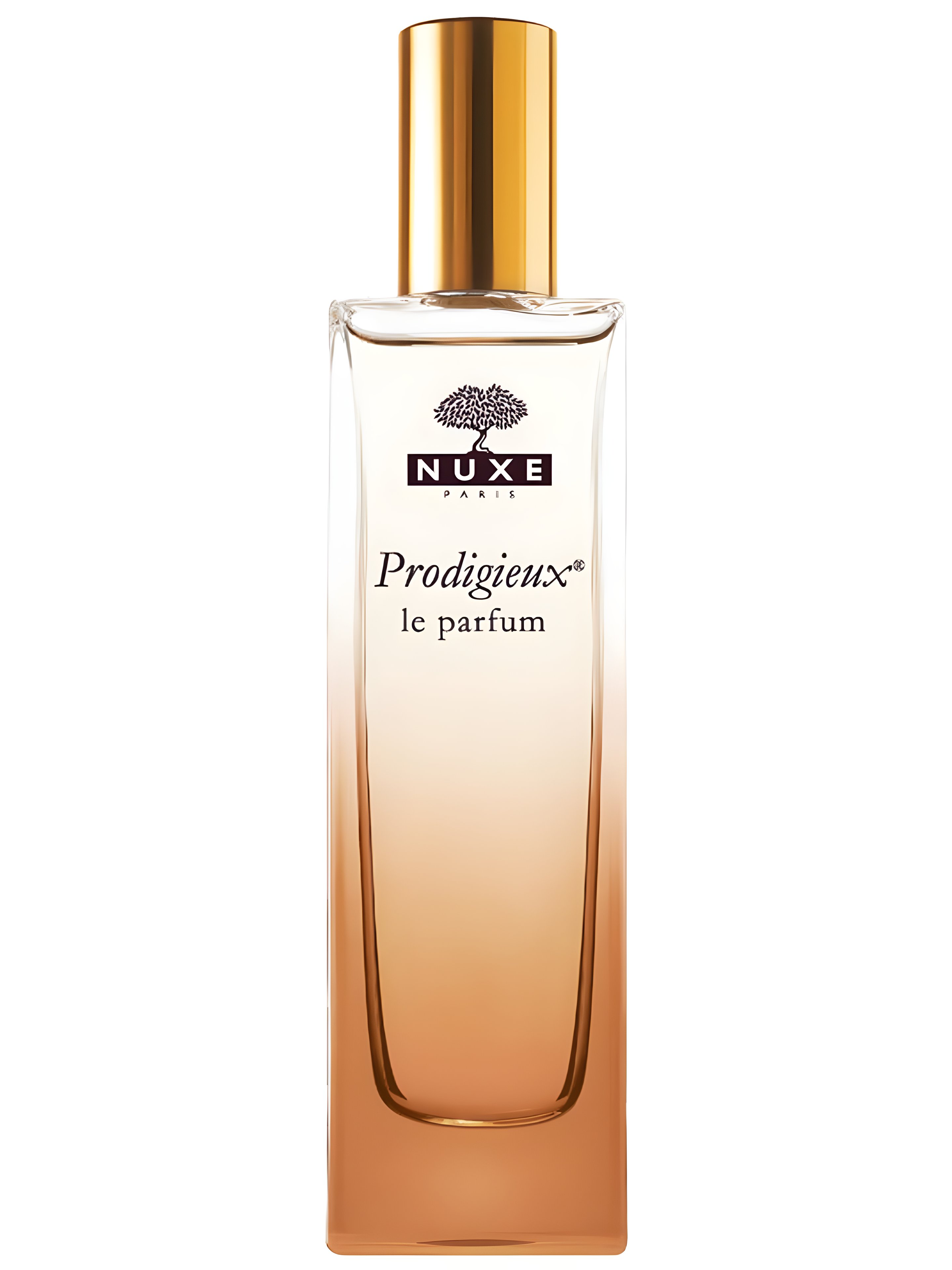 Picture of Prodigieux Le Parfum fragrance