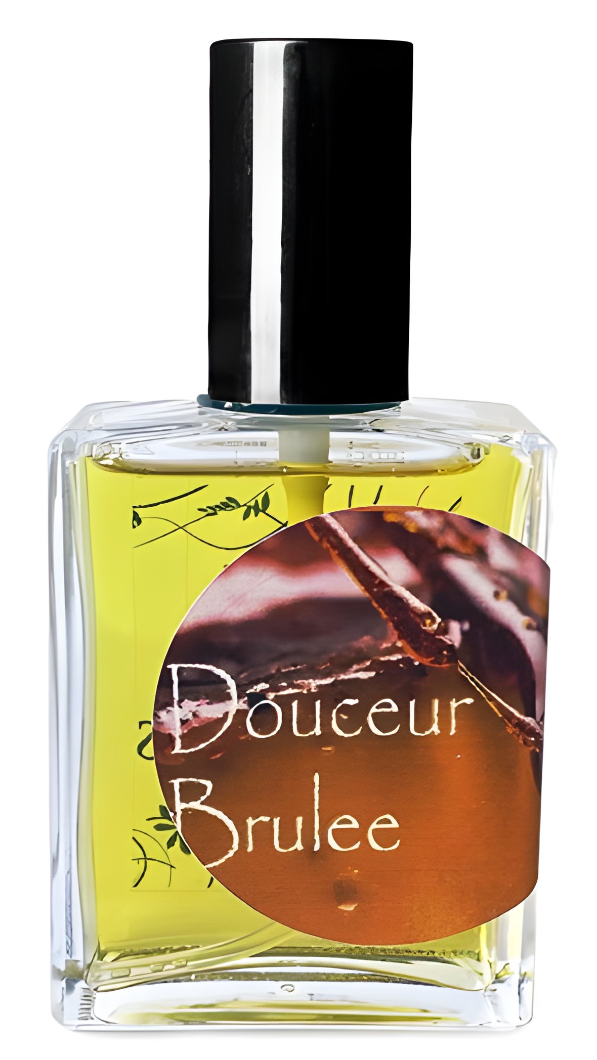 Picture of Douceur Brulee fragrance